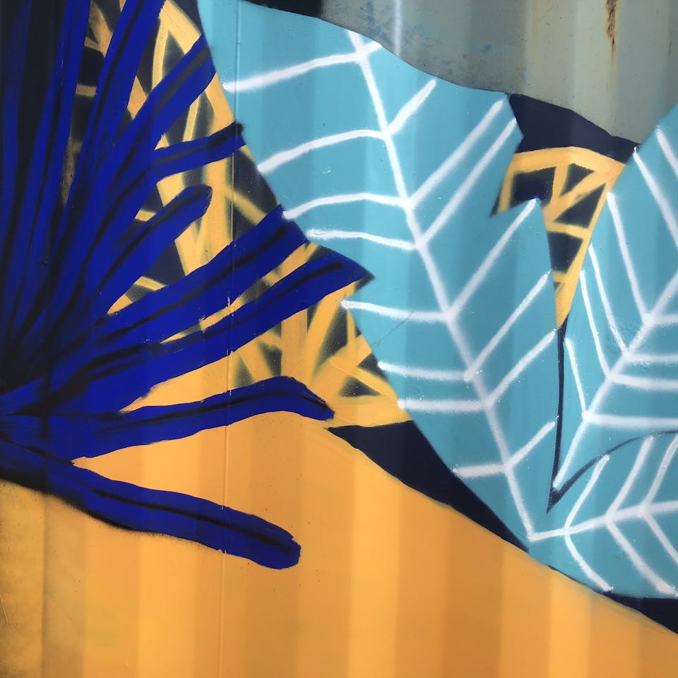 Focus sur une peinture murale de plantes main selon l'identité visuelle de la zone d'art libre de Transfert.