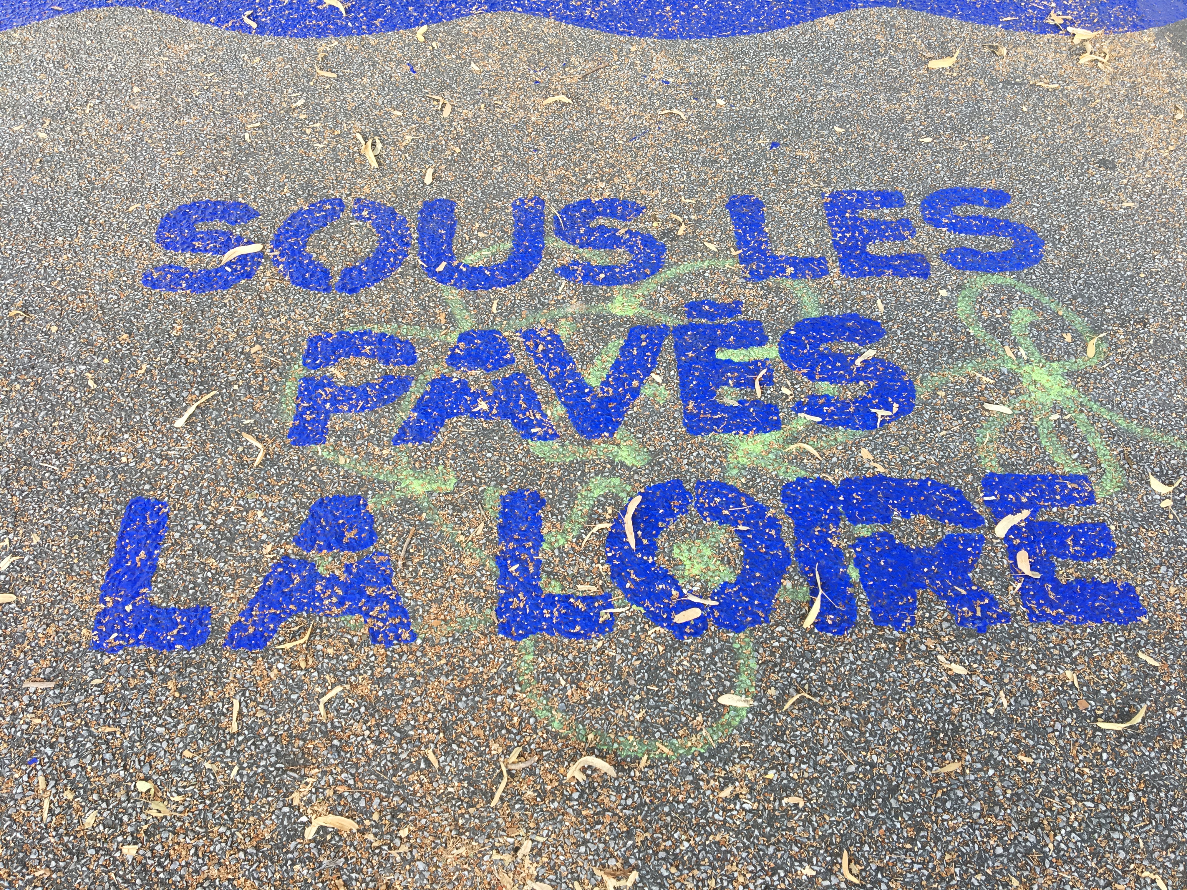 Signalétique sur route issue de la nouvelle charte graphique de la rue Biesse à Nantes.