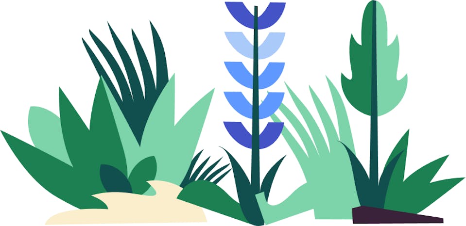 Illustration de végétaux basés sur le nouveau vocabulaire de formes géométriques de la marque TUL.