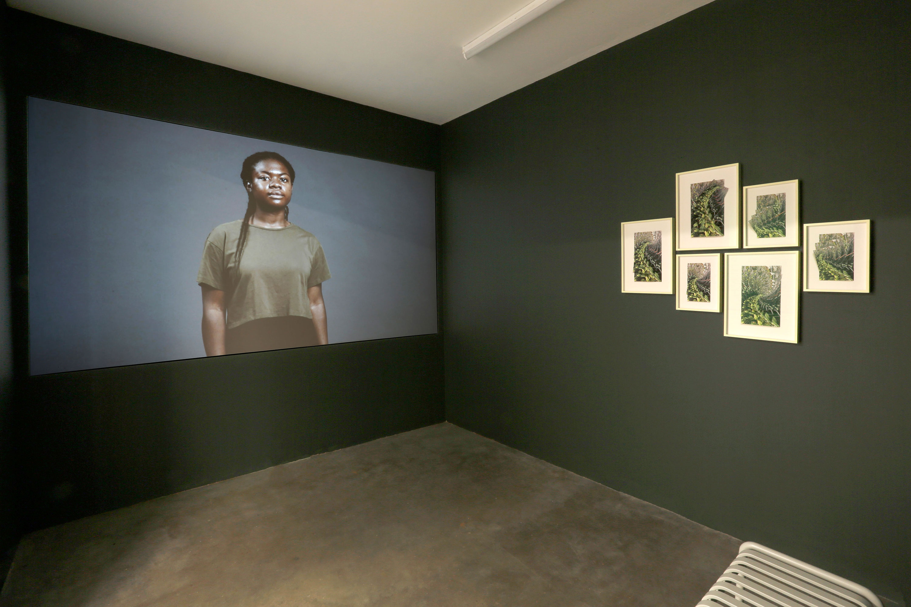 A dark-walled gallery room displays a large video projection of a person standing and looking forward, alongside several framed photographs of greenery arranged on the adjacent wall.