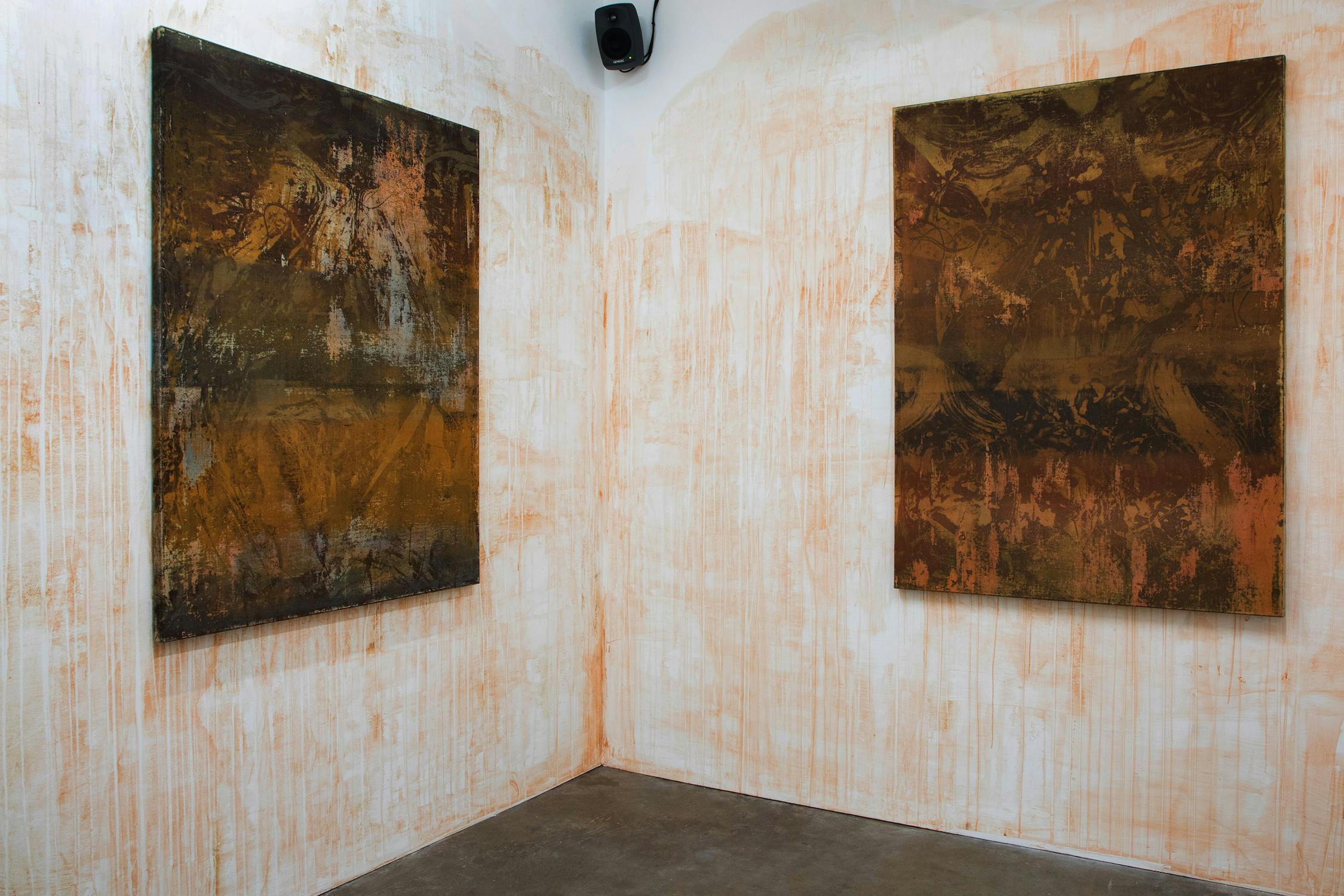 Earth toned prints on the walls of the Project Studio, the walls are painted with soil collected from Grotova's research trips.