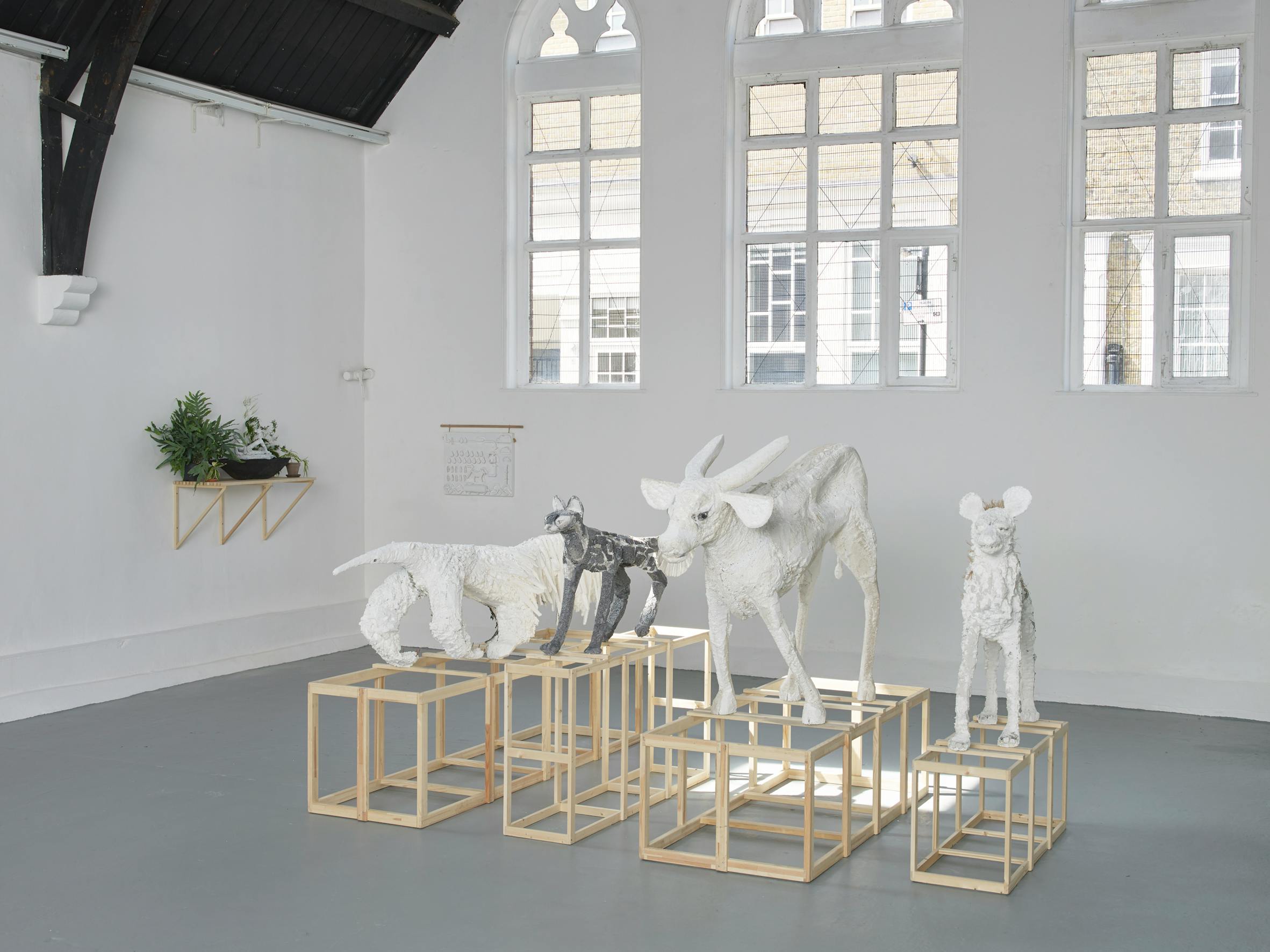 In a bright gallery with high arched ceilings and large windows, four white animal sculptures—cat, dog, ox, and sheep—stand on wooden cube plinths. A potted plant and framed art hang on the white wall, adding minimal decorative elements.