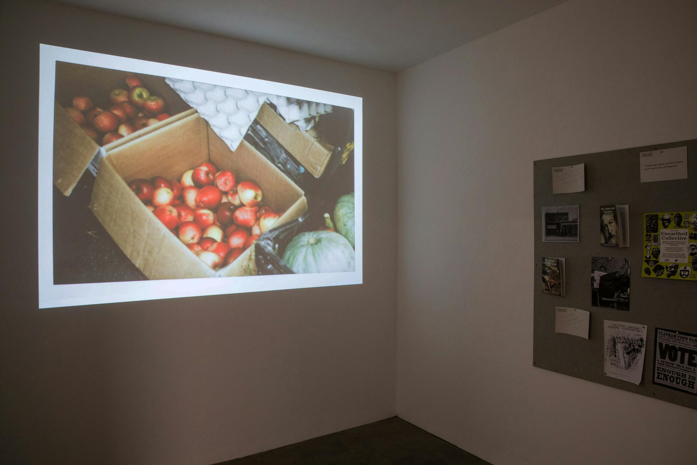 A gallery room with a large photo of apples in a box projected on the left wall. The right wall is adorned with various posters, papers, and clippings pinned on a grey board. The space is minimally lit, highlighting the projection.