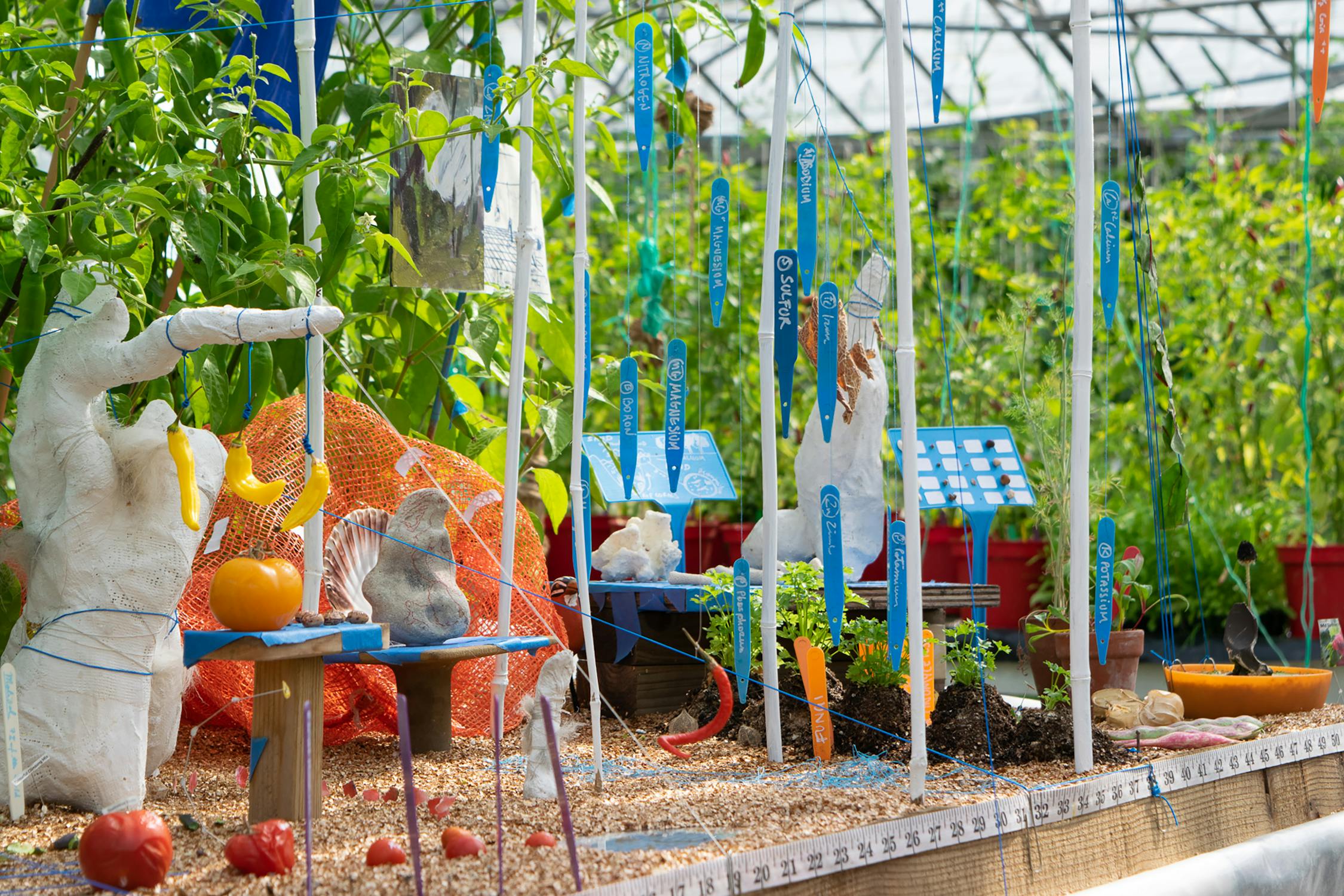 A greenhouse with various plants and art installations. Sculpted hands and blue labels are placed among the greenery. A ruler and strings run through the setup, creating an artistic, organized display in the lush environment.