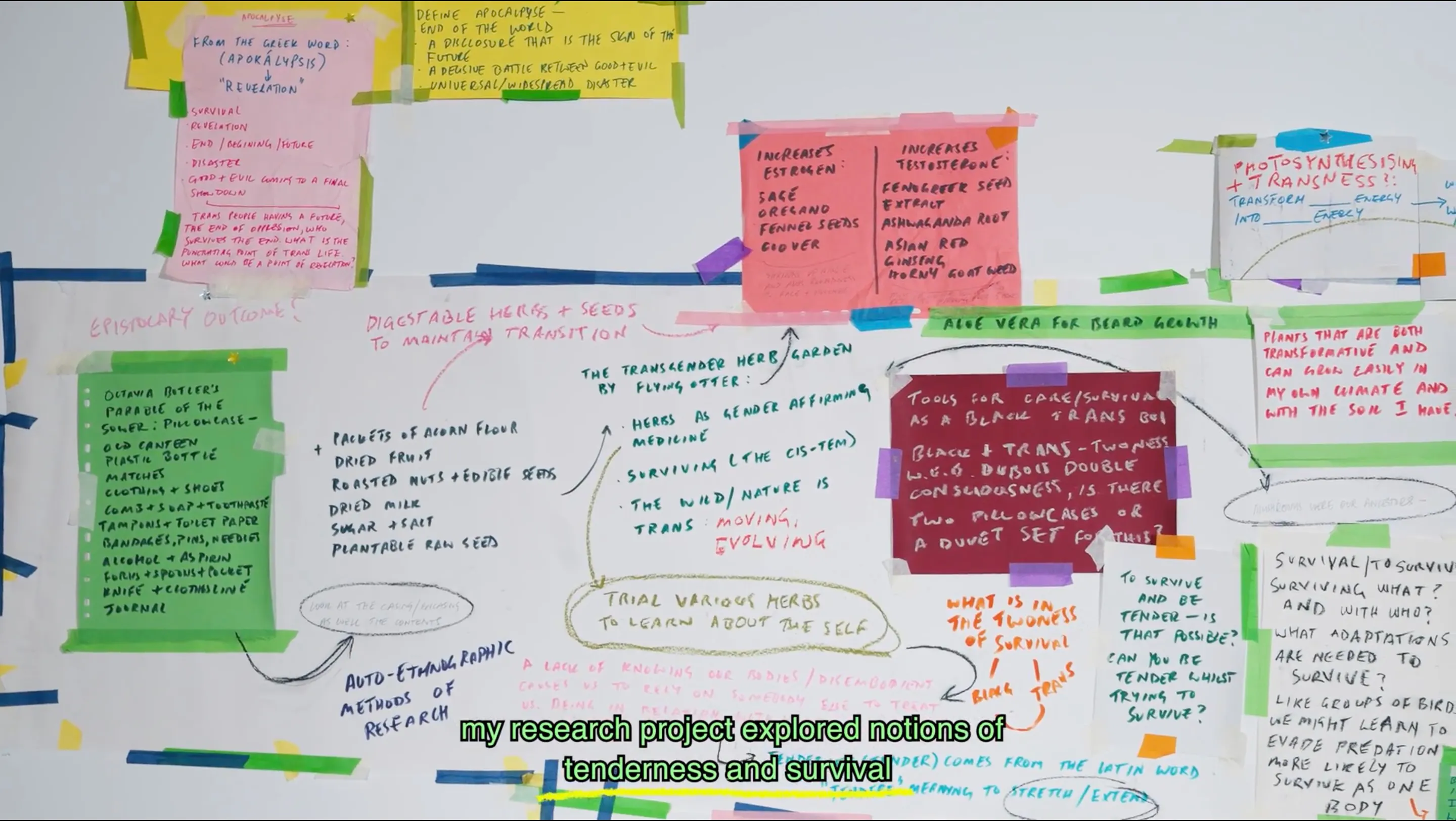 A whiteboard covered in colourful sticky notes and handwritten text connected by lines, showing various research ideas and keywords. At the bottom, a subtitle reads: “my research project explored notions of tenderness and survival.