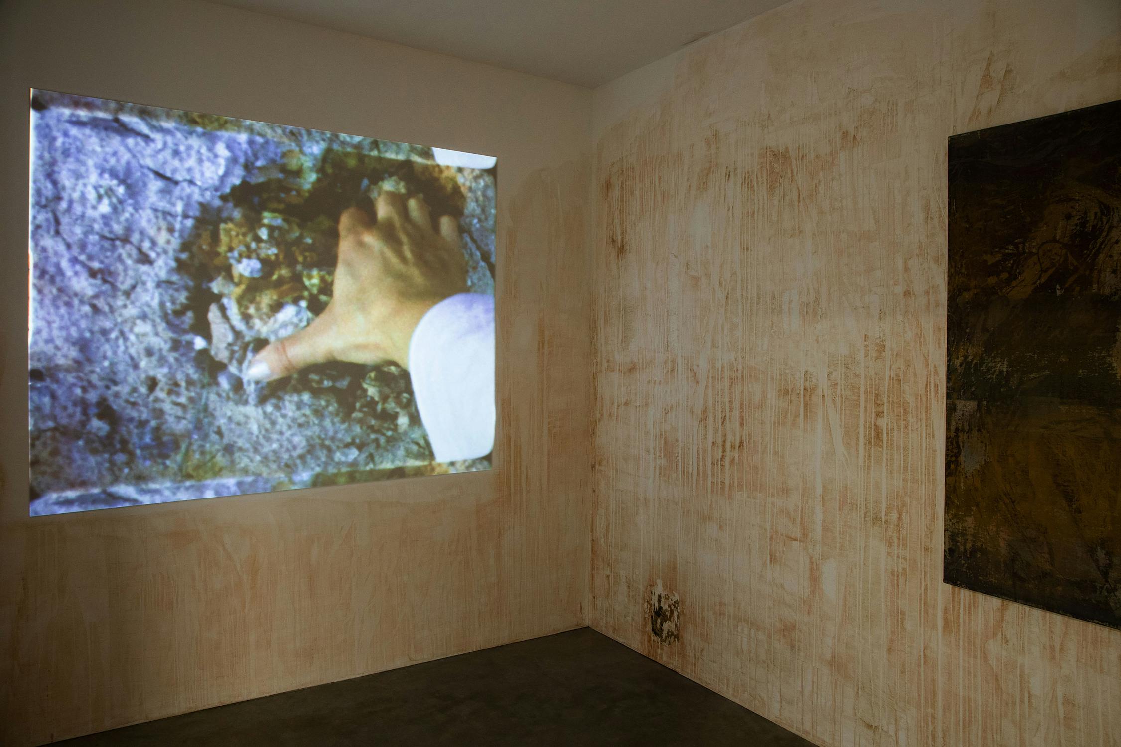 The project studio showing a still from The Friendship Garden film, with a hand reaching into some rocks