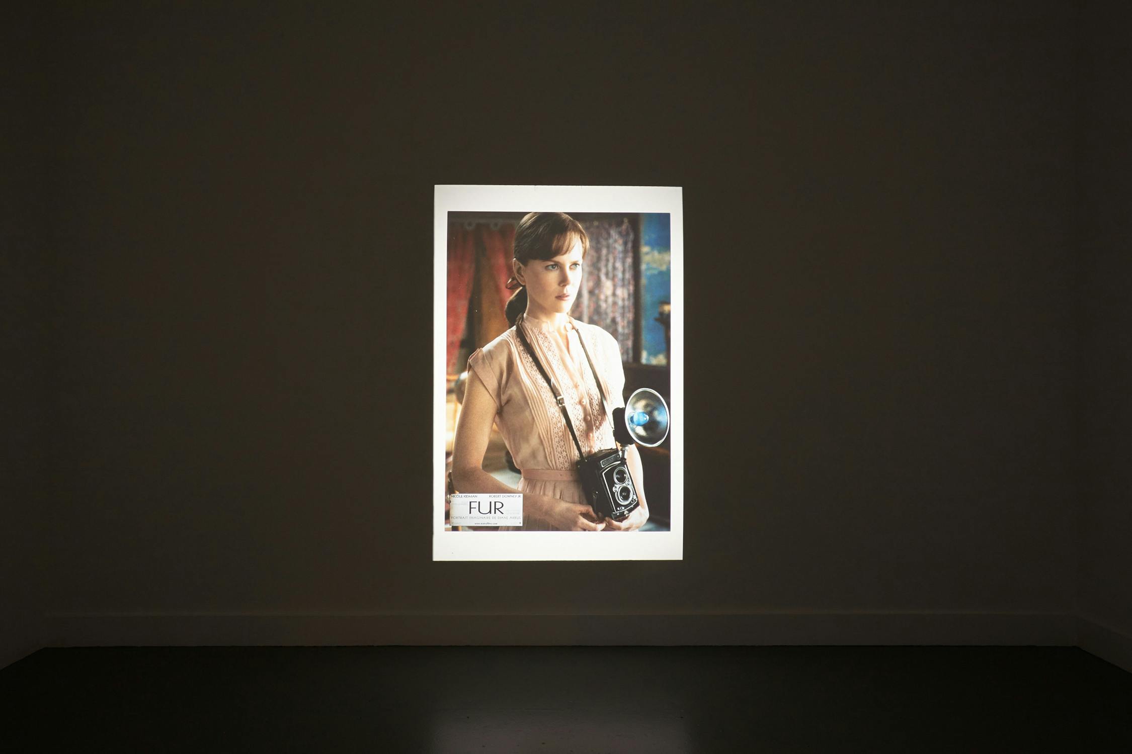 An image of a lit-up portrait in a dark room. The portrait features a woman in vintage clothing holding an old-fashioned camera. The background of the portrait shows a colourful, blurred setting. The bottom corner of the portrait has the word "FUR" visible.