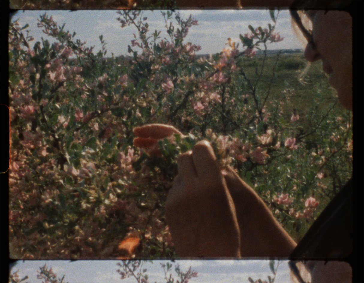 A grainy colour film still of a women holding and looking at a branch blooming with blossom