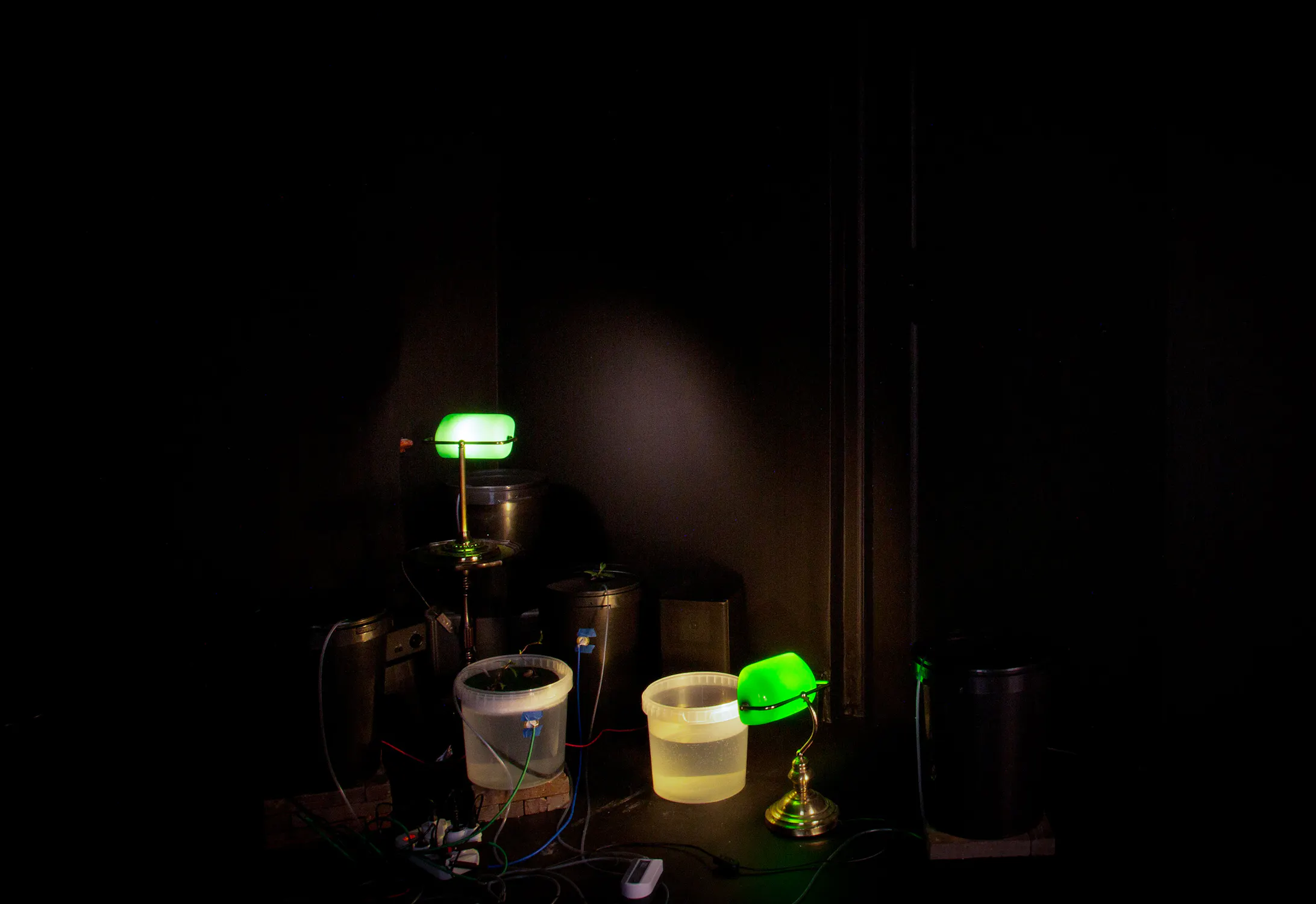 Two green-shaded desk lamps illuminate a dark room. One lamp is attached to a bucket of water on a stand, whilst the other sits beside another bucket. Several black containers, wires, and gadgets are partially visible in the background.