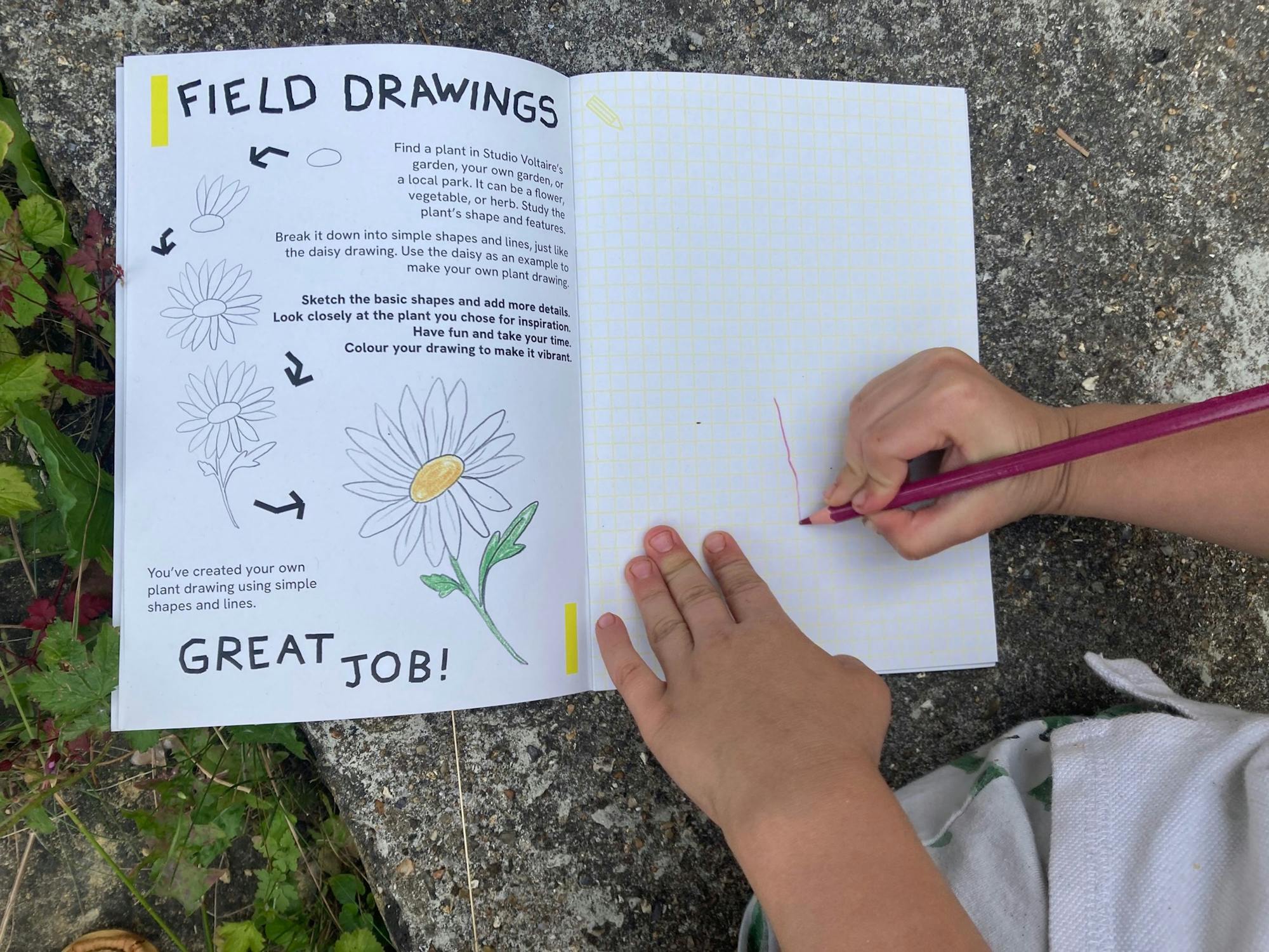 Child drawing in a notebook next to a page titled "Field Drawings" with daisy illustrations and instructions. The child holds a red pencil above graph paper, with a small red line started. Grass and leaves are visible on the concrete ground.