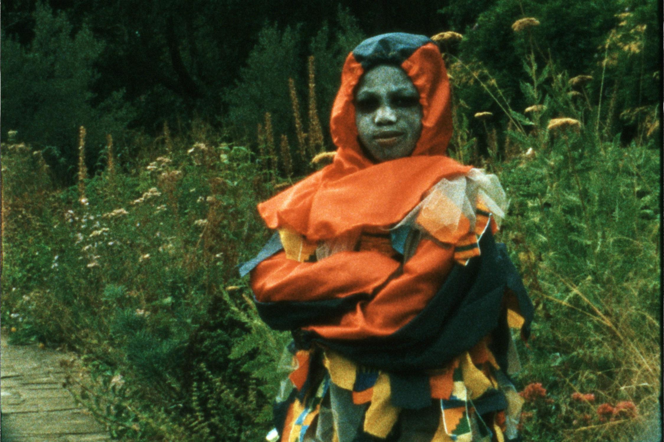 A person in a colourful jester costume with a red and black hood stands on a wooden path, arms crossed. The background features tall green grass and wildflowers, creating a natural and slightly overgrown setting.