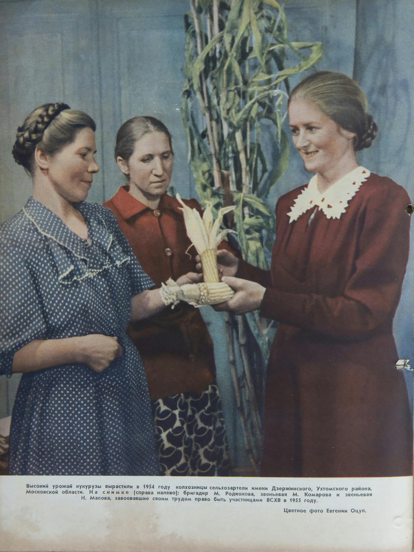 A soviet era poster of three white women posing with corn cobs