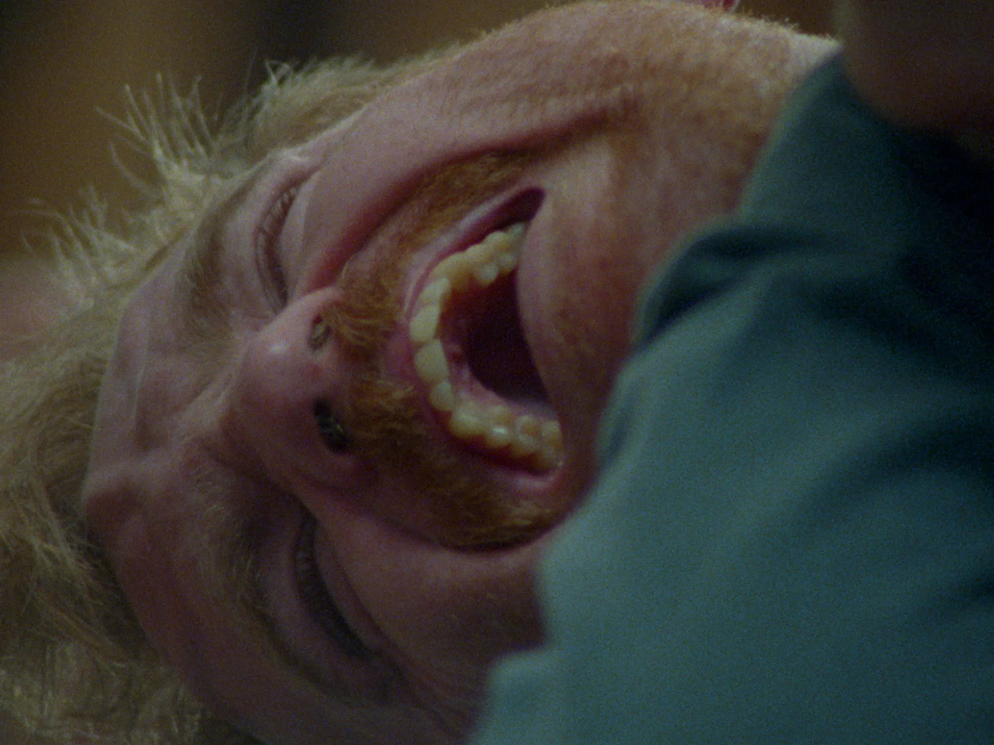 A close-up of a person with blond hair and a moustache, eyes closed, mouth open wide in a yell or laugh. The person is wearing a teal shirt, and the background is blurred.