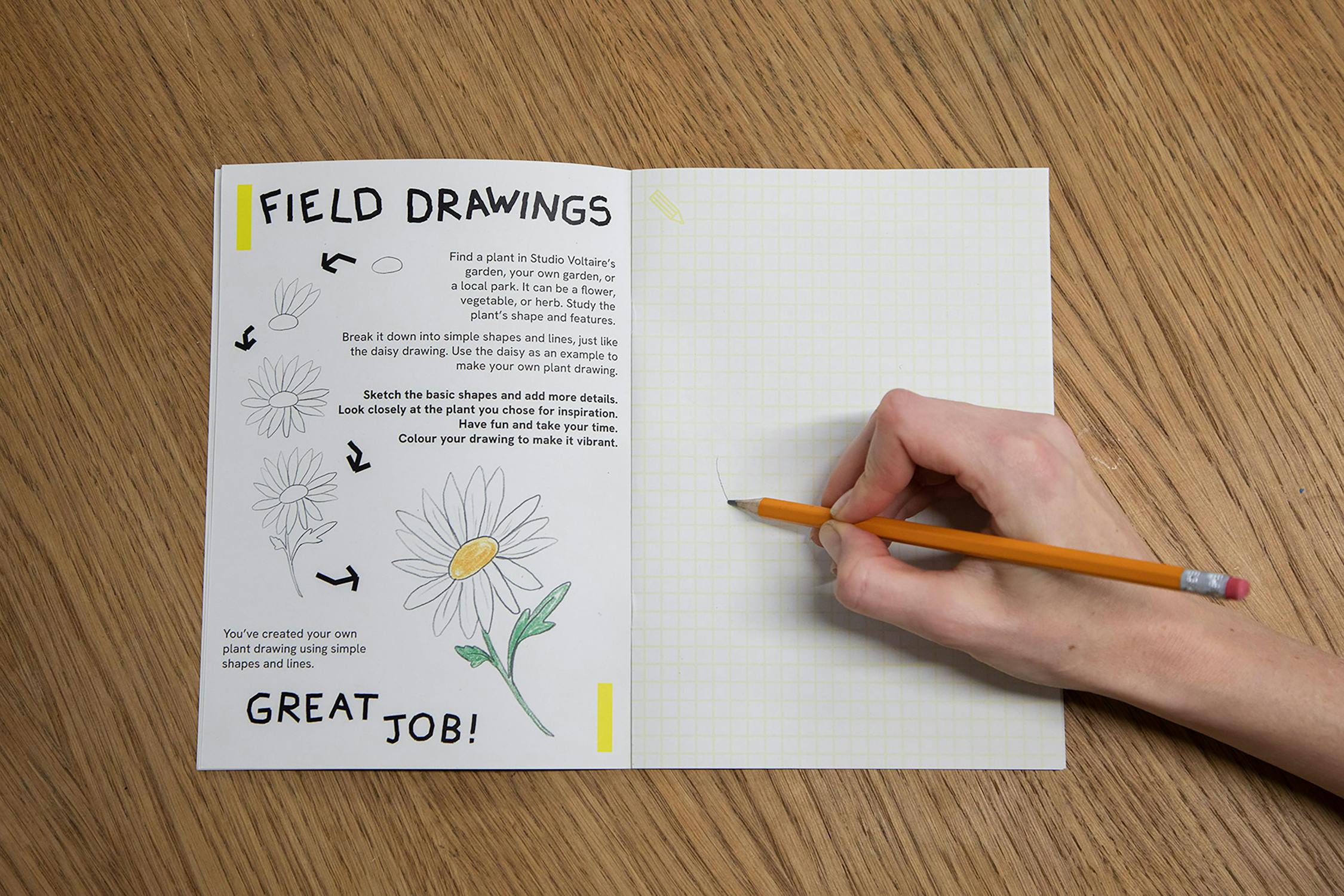 A person drawing a flower in a notebook with a grid design on the right page. The left page, titled "Field Drawings," shows steps for drawing a daisy. A pencil and a completed flower sketch are visible. The table is wooden.