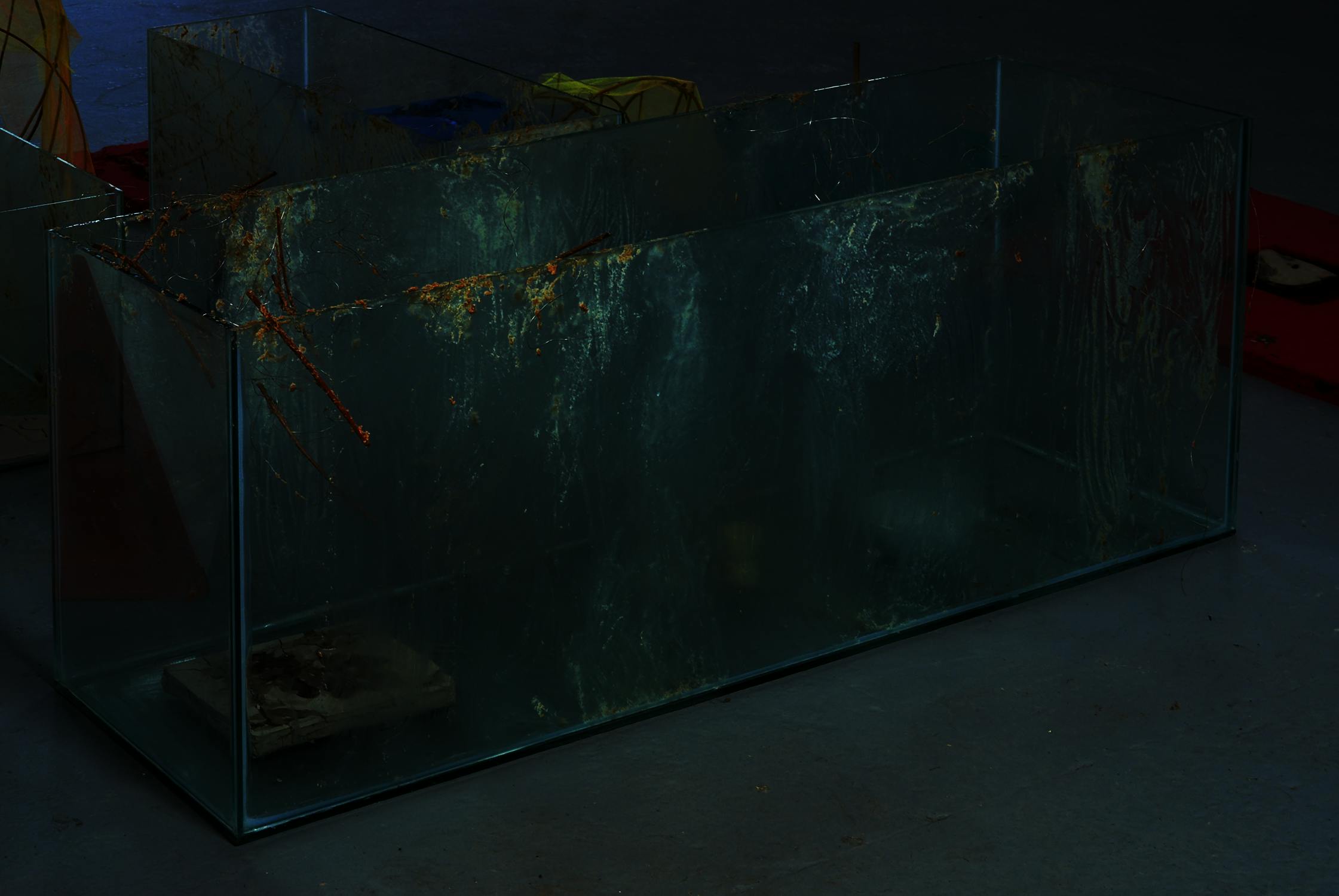 a large glass tank smeared with porridge. small twigs are stuck to the glass. a rectangular grey block sits inside the glass tank.