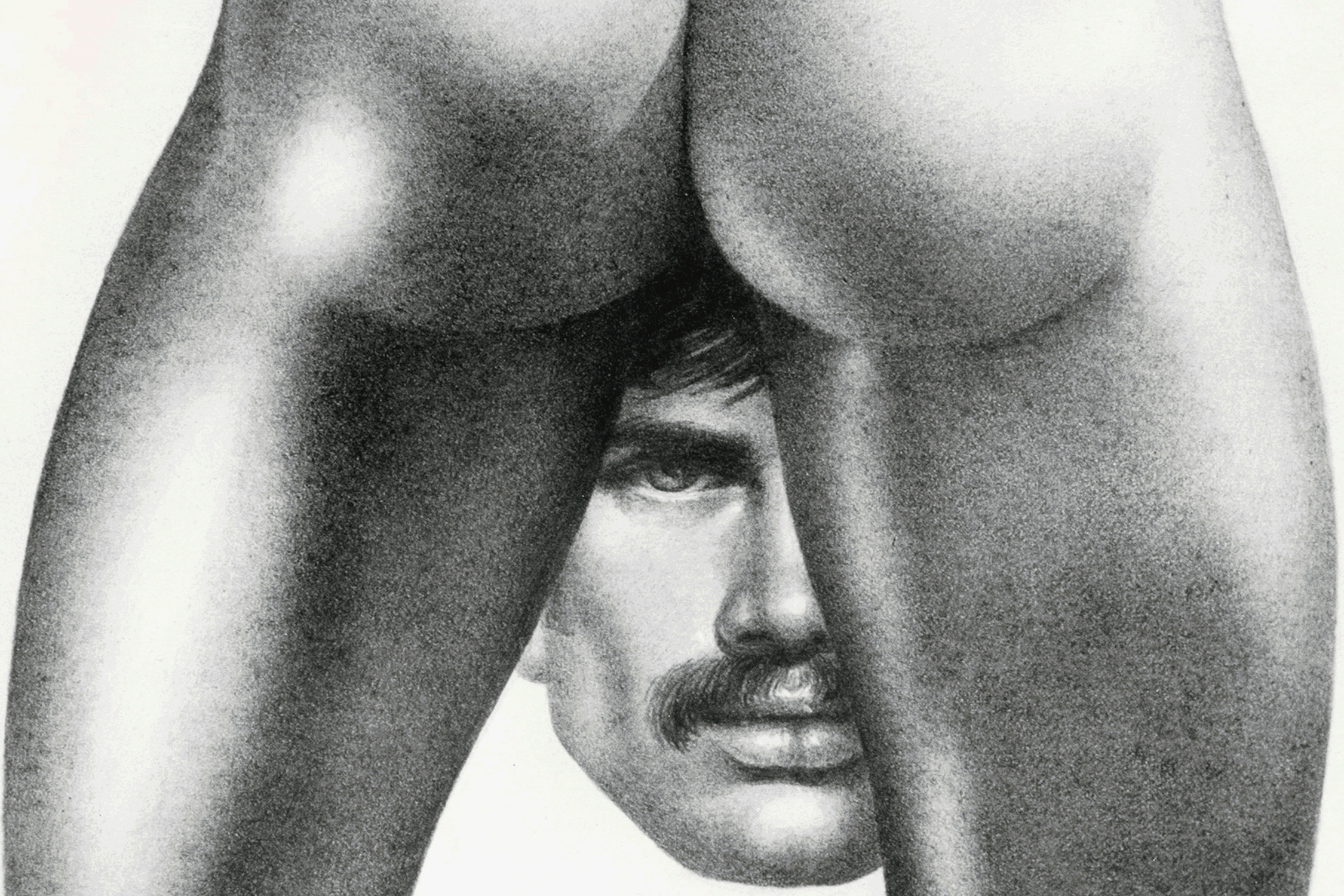 A GIF file showing two artworks; the first is a black and white pencil drawing by Tom of Finland depicting a moustache man peering between the muscular buttocks of another man. The second image is a colourful painting by Beryl Cook depicting a tanned full-bodied women wearing a revealing leopard print jump suit.