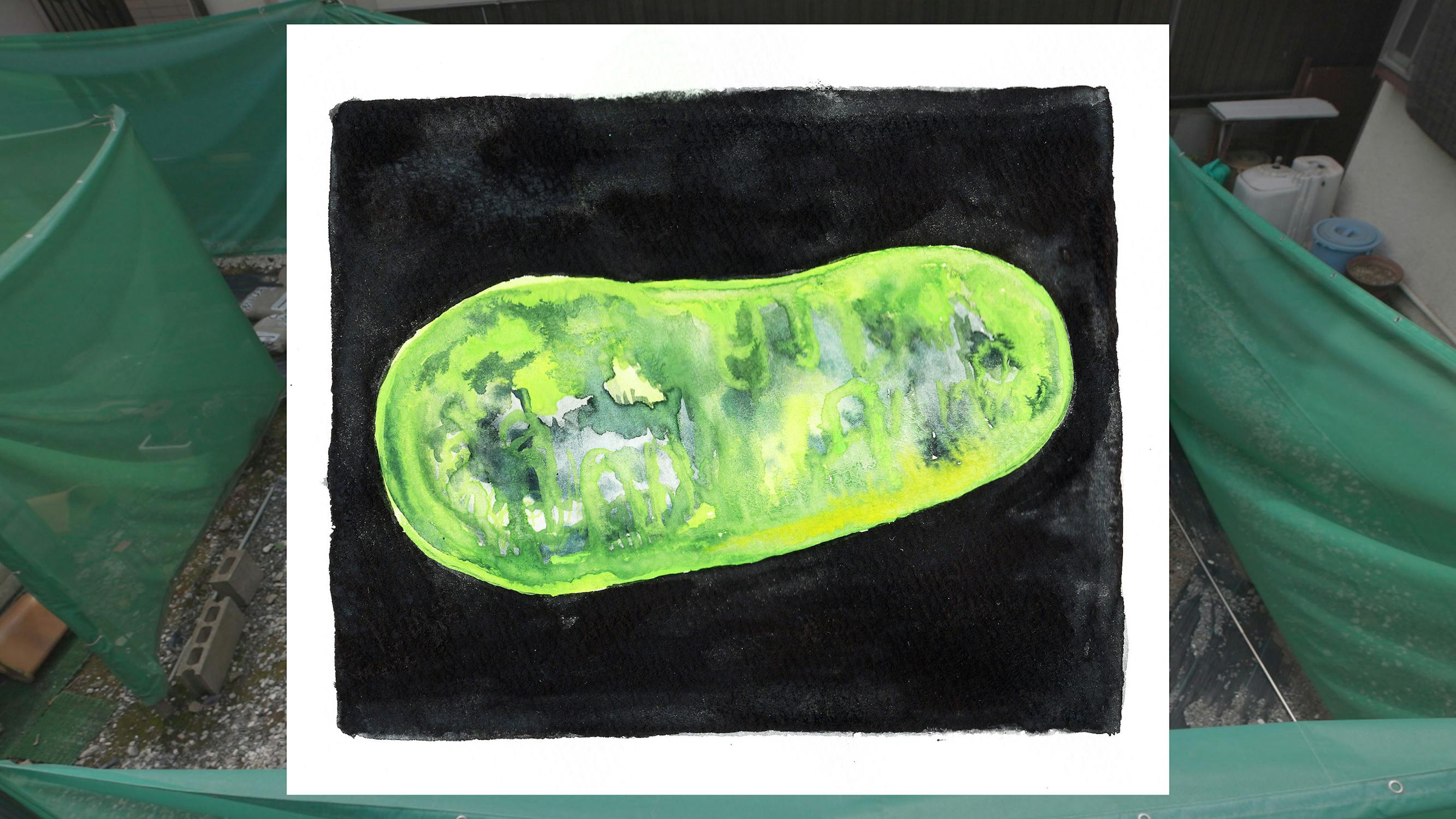 a film still showing an artwork of a round green and textured shape, painted on top of a black background. The image has been scanned and overlayed on top of an image of an outdoor space enclosed by green nets.