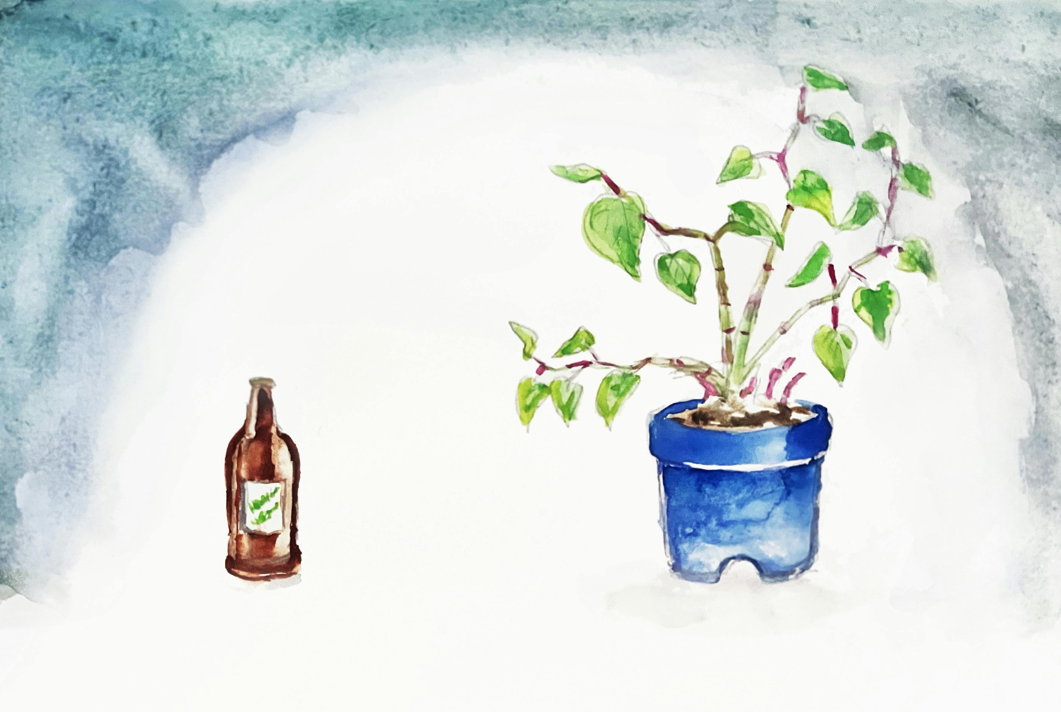 A watercolour painting of a bottle next to a plant