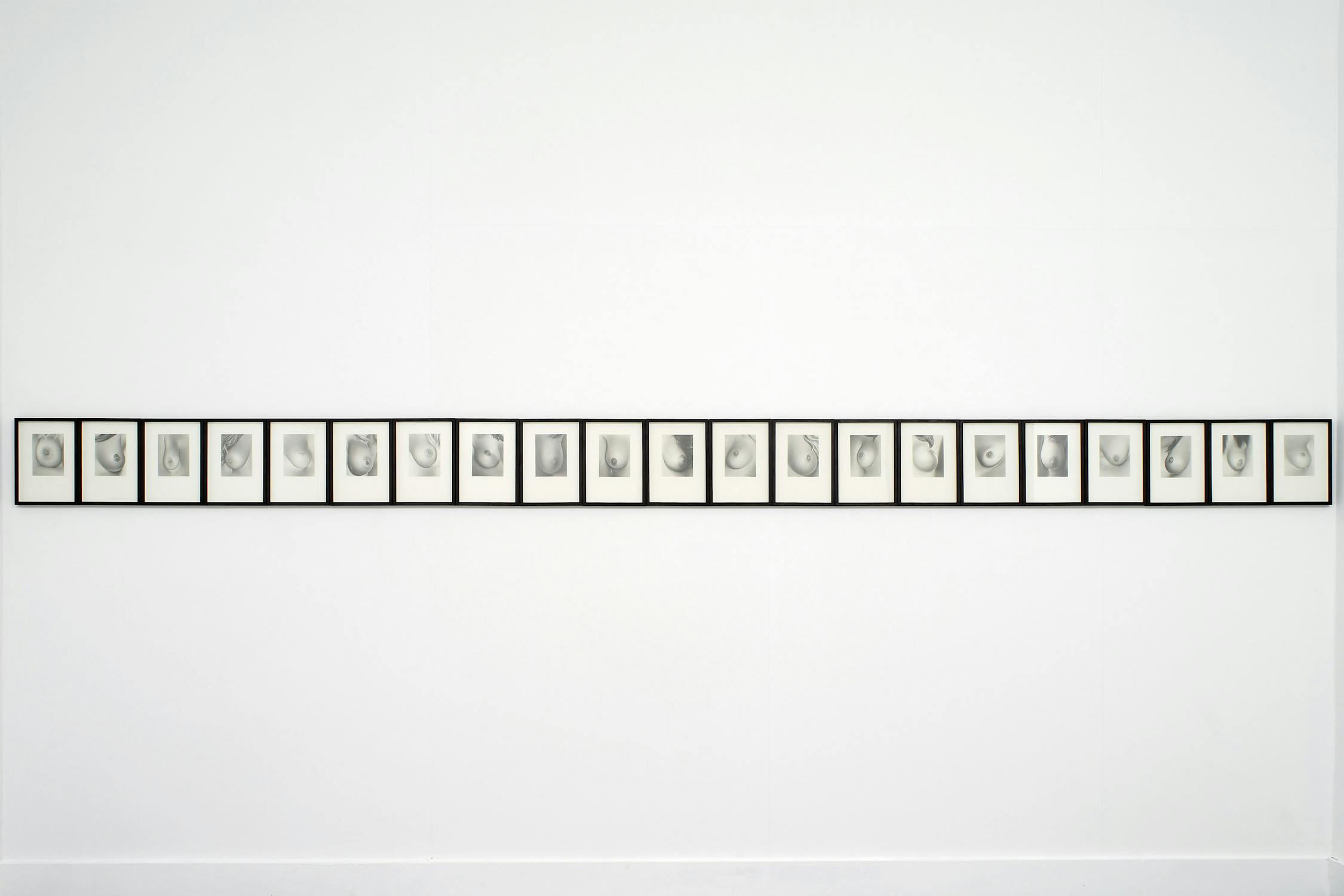 A white wall with a horizontal line of framed graphite drawings of breasts.