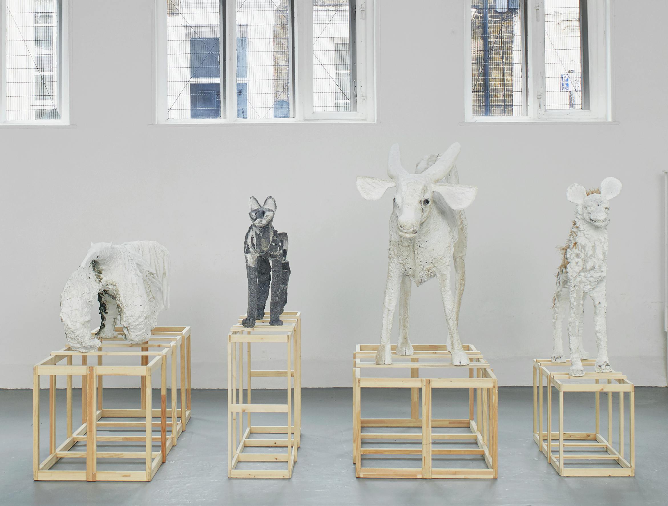 Four animal sculptures, each textured white with one dark-coloured, stand on separate wooden cube plinths in a gallery with grey floors and large windows. The animals resemble sheep, a dog or wolf, a bull, and a deer or goat. The space is bright and minimal.