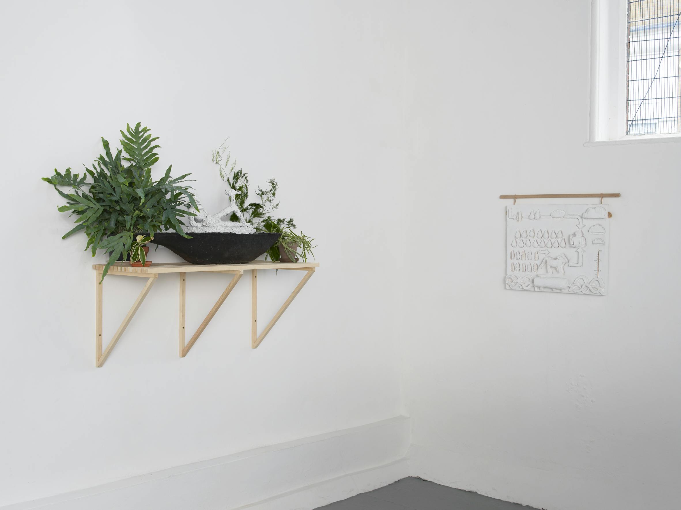 A minimalist room with white walls displays a black bowl with green and white plants on a light wooden shelf. Nearby, a textured white artwork hangs on the wall. A small window is at the top right, letting in light. The floor is grey.