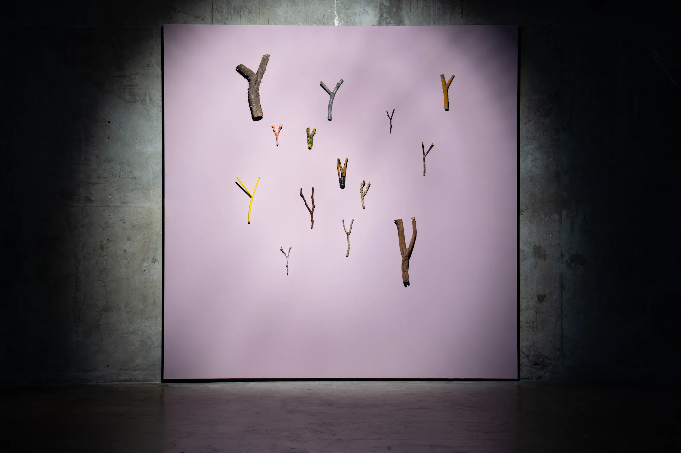 A variety of Y-shaped sticks are arranged in rows on a large, pale pink square backdrop, displayed against a dark concrete wall and spotlighted in an otherwise dimly lit space.