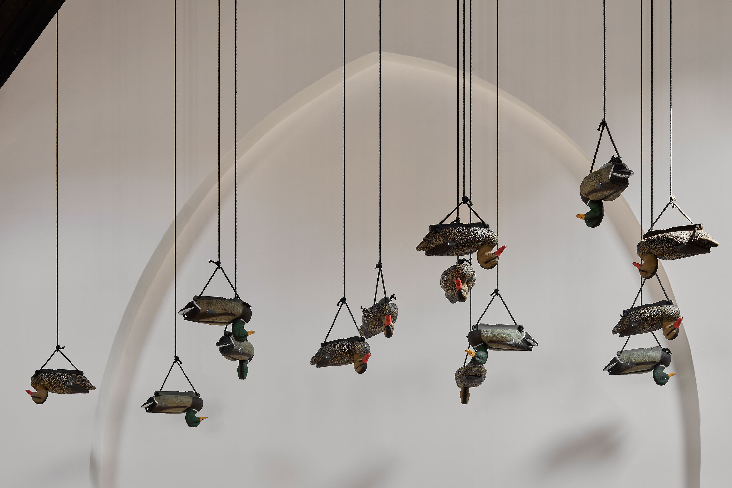 Several decorative duck decoys hang upside down from the ceiling by black cords against a plain, light-coloured wall with an arched shadow in the background.