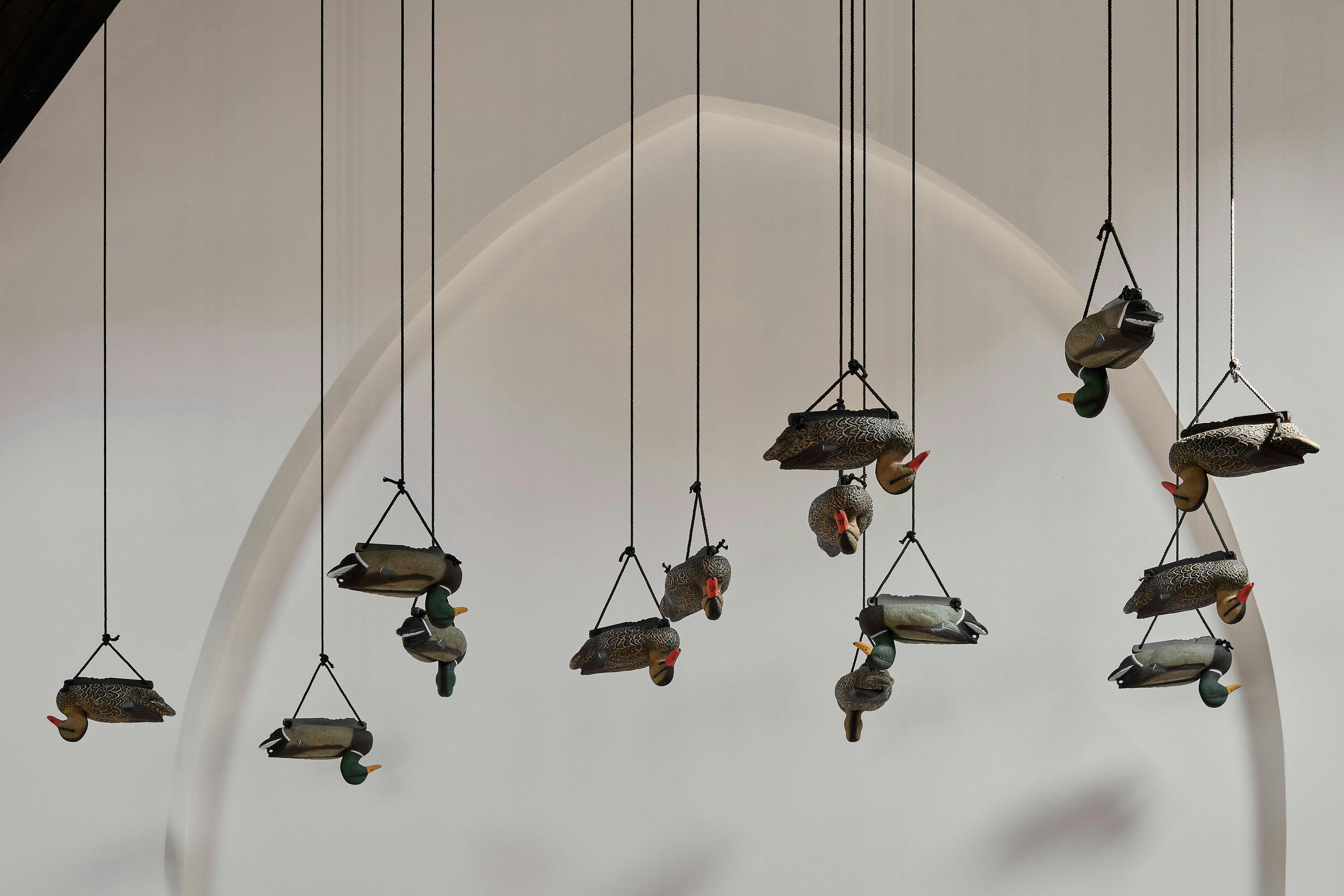 Several decorative duck decoys hang upside down from the ceiling by black cords against a plain, light-coloured wall with an arched shadow in the background.