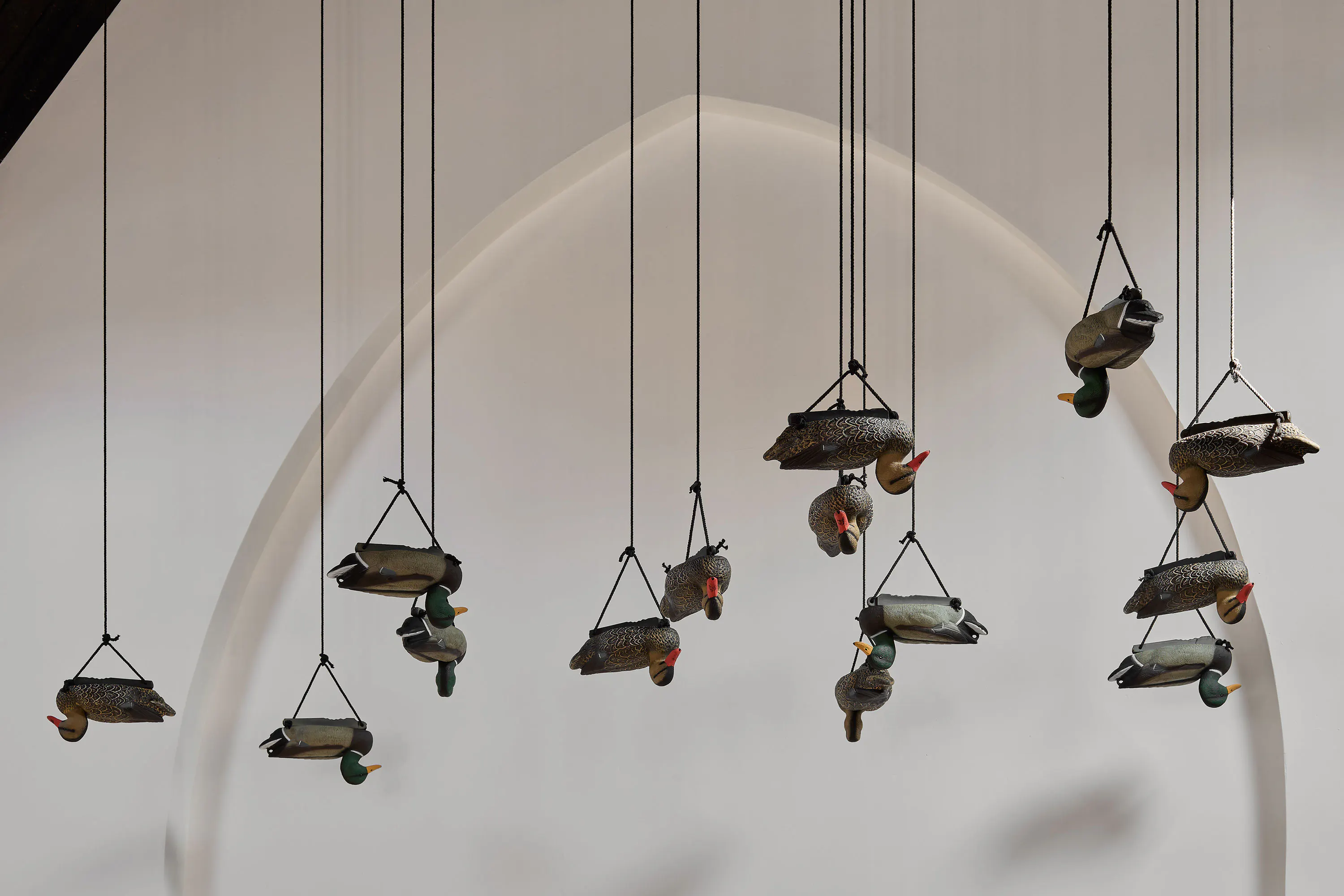 Several decorative duck decoys hang upside down from the ceiling by black cords against a plain, light-coloured wall with an arched shadow in the background.