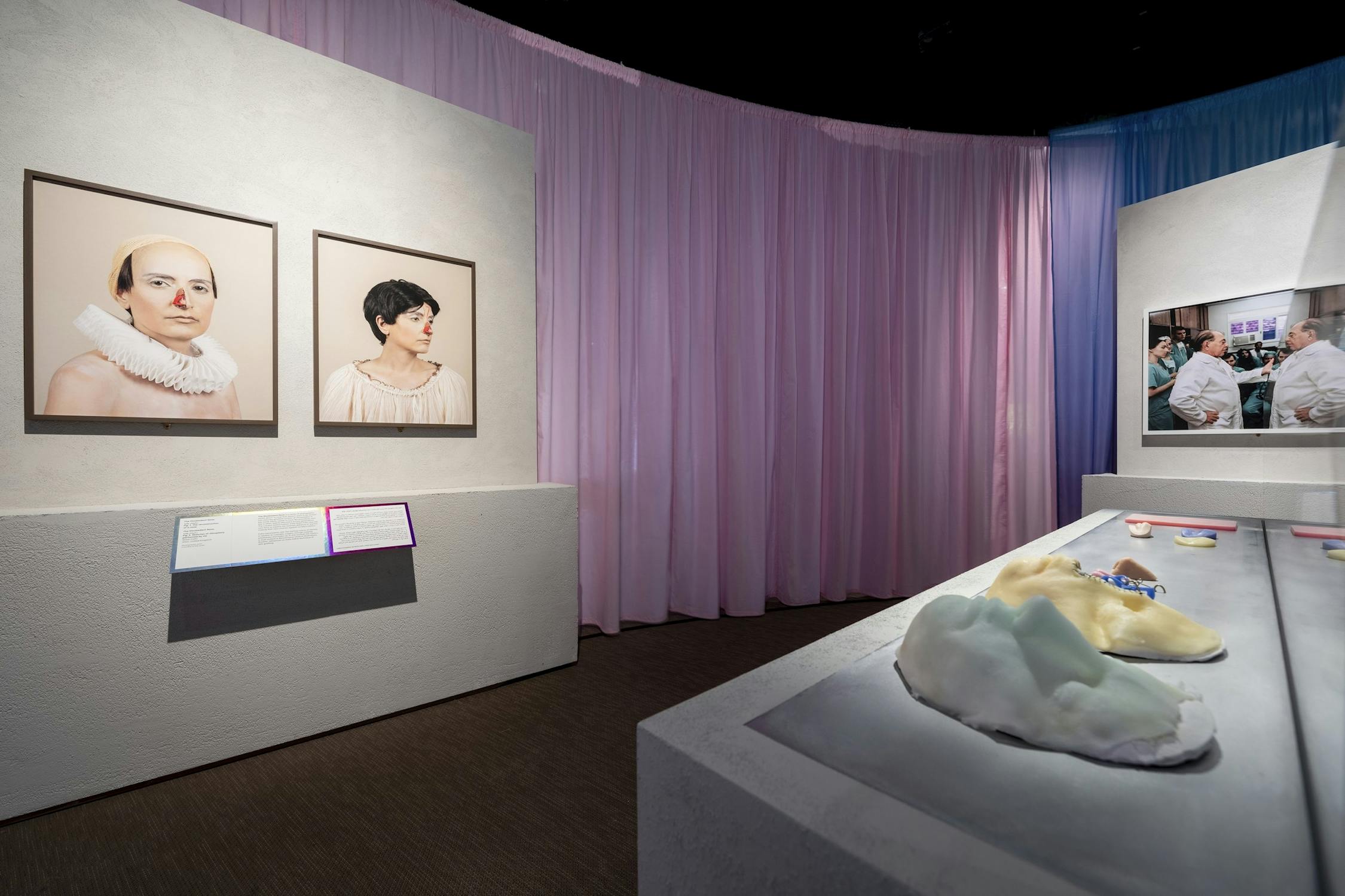 An art gallery with pink and purple curtains features two portrait photographs on a white wall and soft, abstract sculptures displayed on a table in the foreground. Informational plaques are mounted near the artwork.