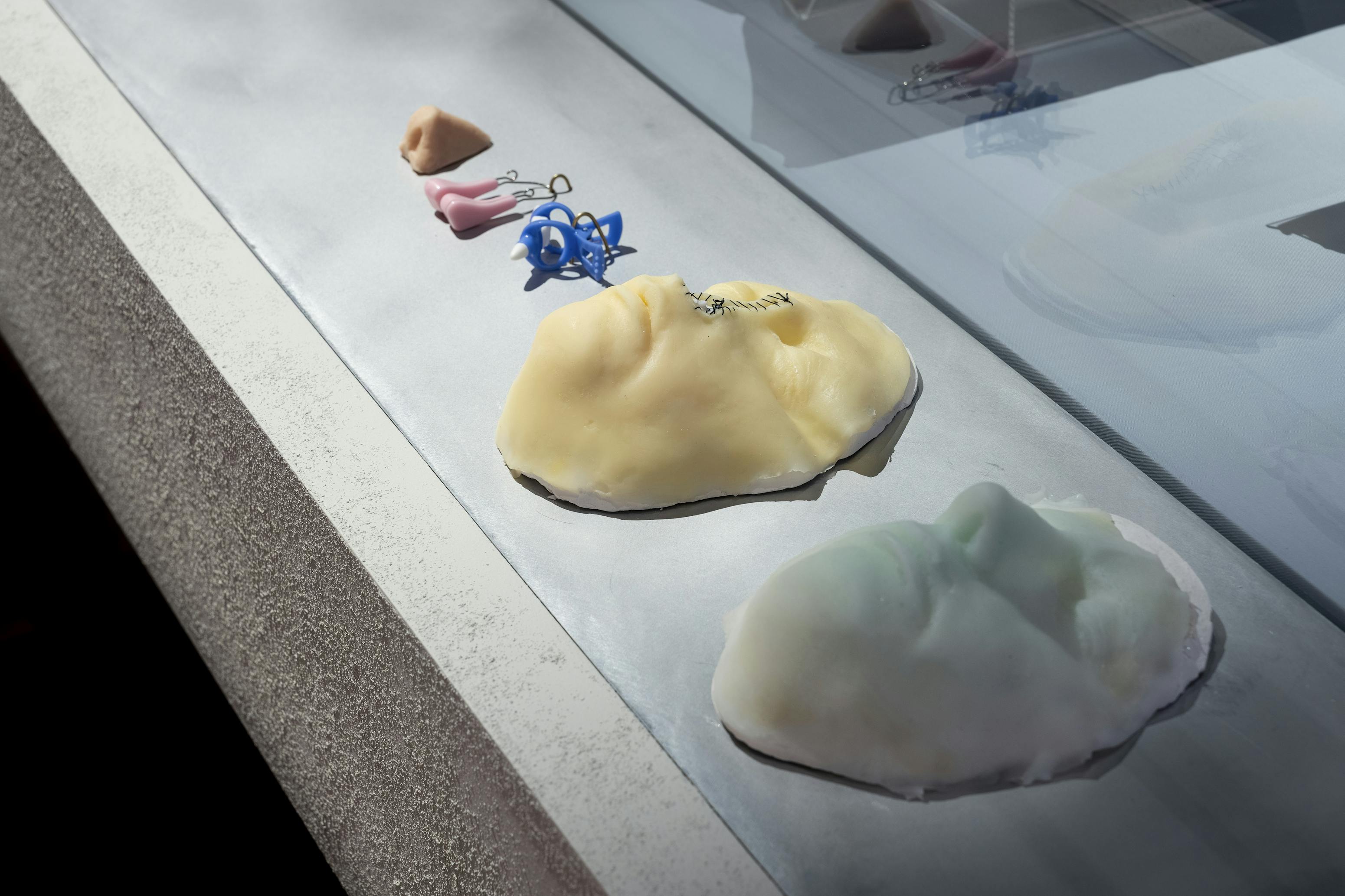 Various prosthetic facial parts, including noses and a chin, created by Shirin Fathi,  are arranged in a row on a metallic surface by a window, with reflections visible on the glass.