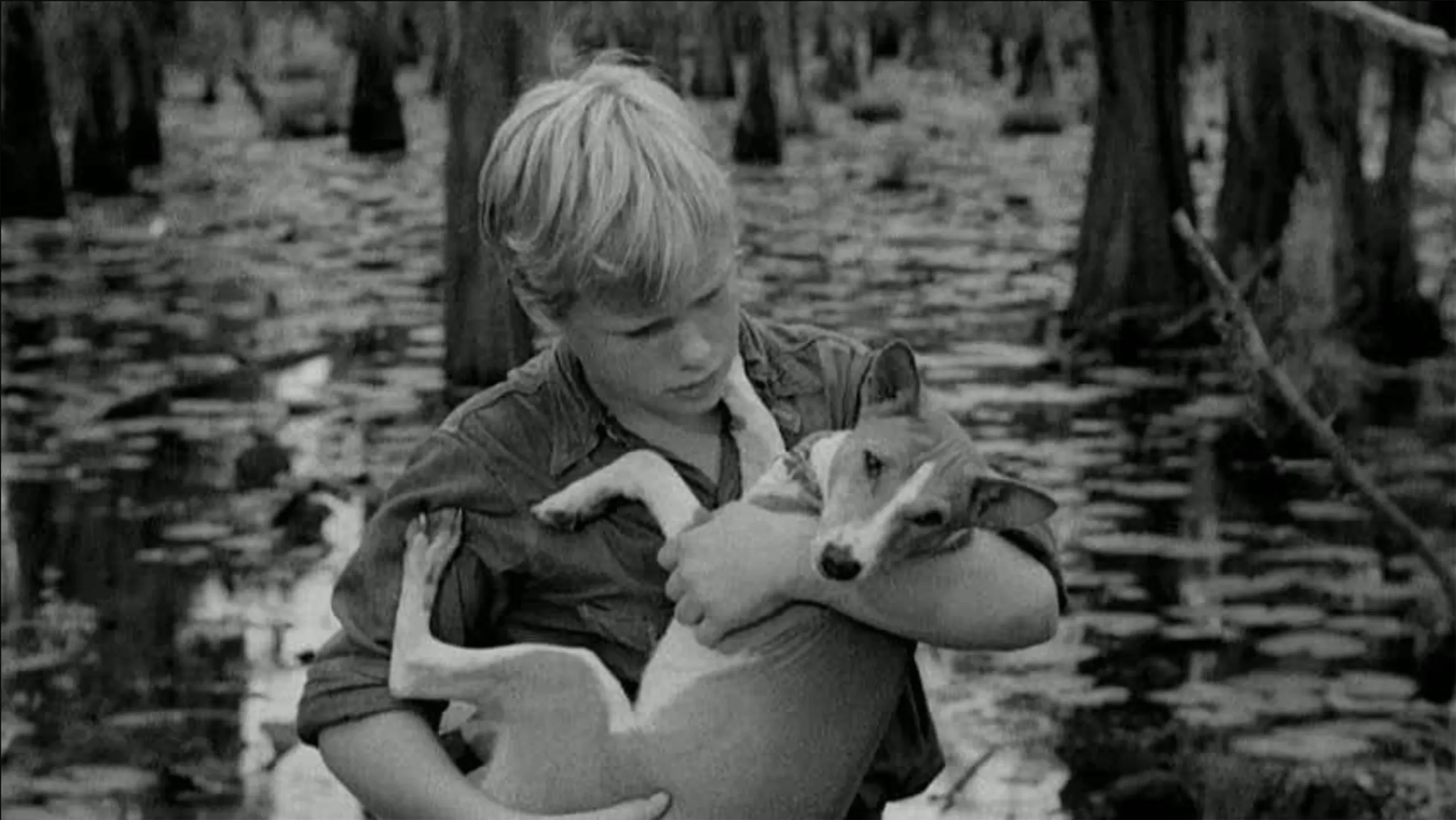 A young boy with light hair stands in a swampy area, gently cradling a relaxed dog in his arms. The background shows water with lily pads and tree trunks. The image is in black and white.