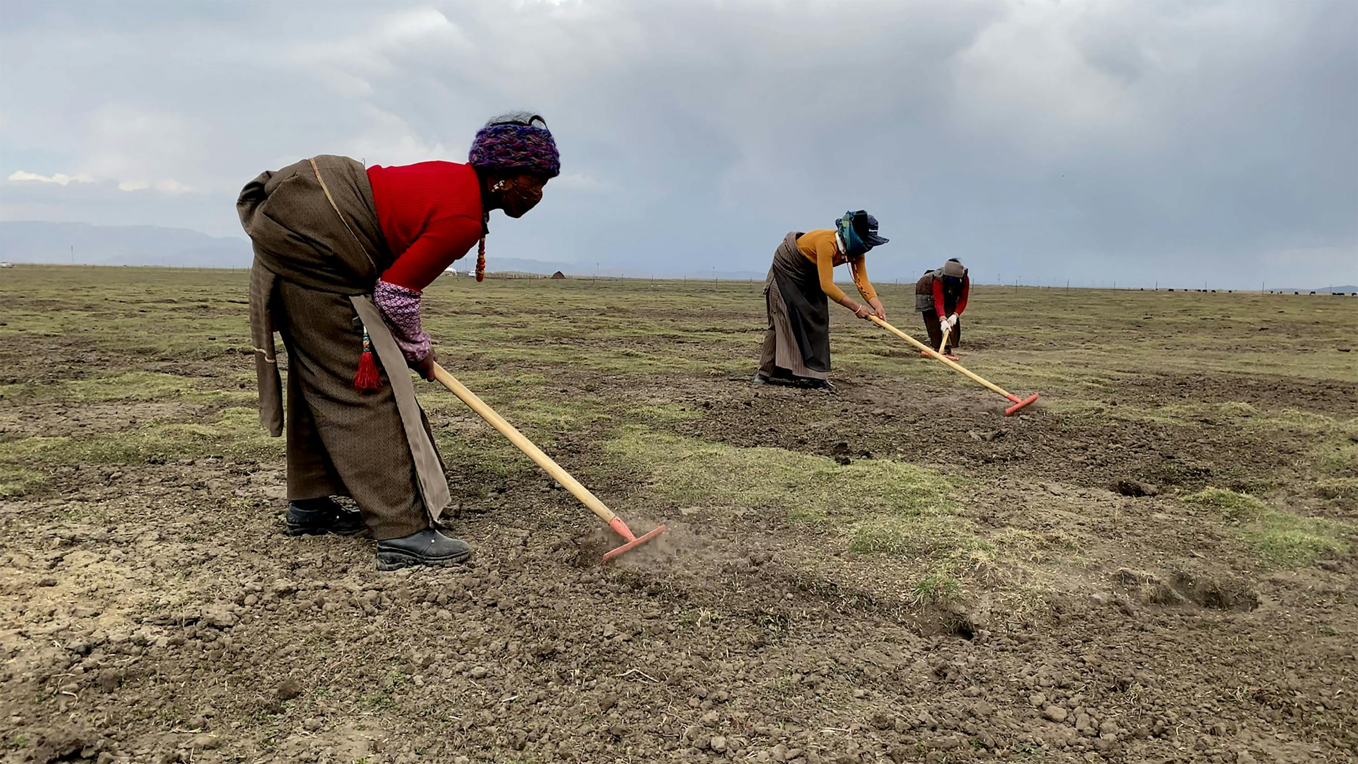 Three people wearing hats and warm clothes work in a large, open field, using hoes to till the soil under a cloudy sky. The landscape is expansive with mountains visible in the distance.