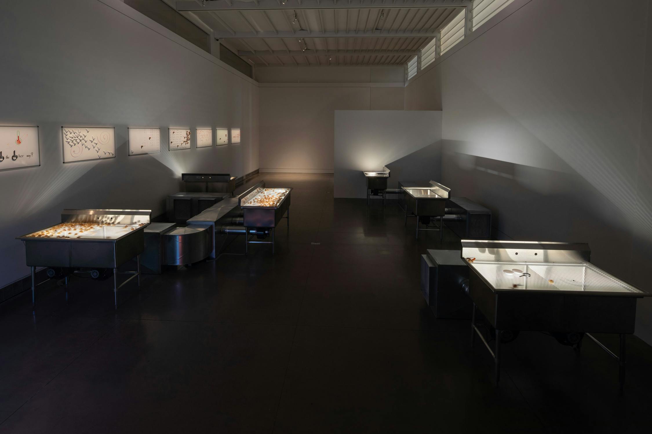 A dimly lit gallery features an installation by Aki Sasamoto of illuminated display tables and framed cases on the walls, all showcasing small objects. The space has a modern, industrial feel with metal tables on castors, dark floors, and overhead lights casting soft glows on the exhibits.