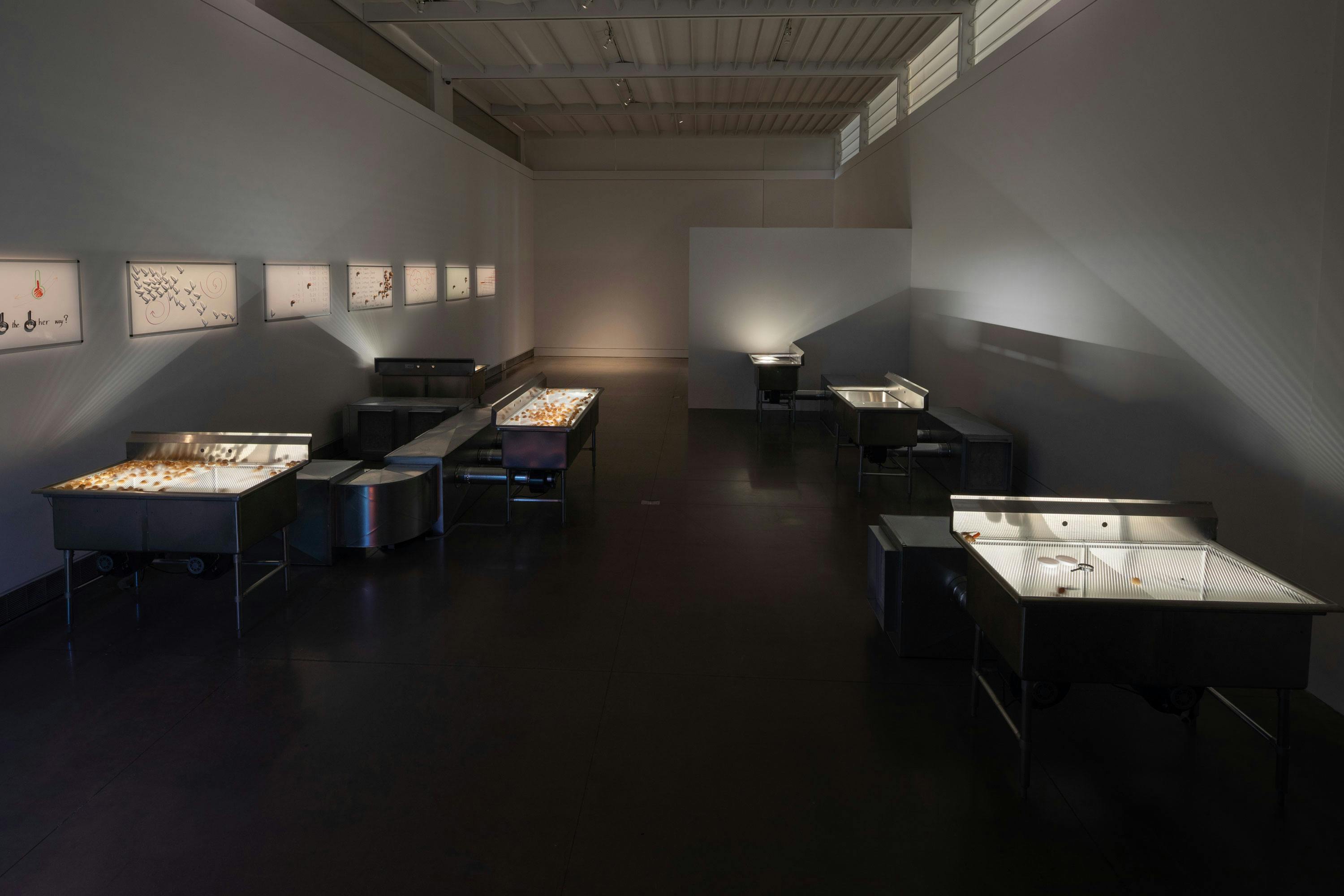 A dimly lit gallery features an installation by Aki Sasamoto of illuminated display tables and framed cases on the walls, all showcasing small objects. The space has a modern, industrial feel with metal tables on castors, dark floors, and overhead lights casting soft glows on the exhibits.