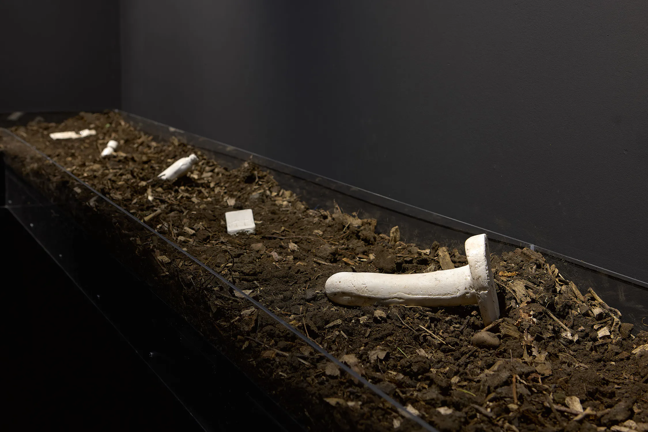 A plexiglass display case holds dark soil in which several discarded white, jesmonite sex toys, mobile phones and cruising ephemera are partially embedded, arranged in a row against a dark grey wall. The lighting highlights the textures of the soil and ceramics.