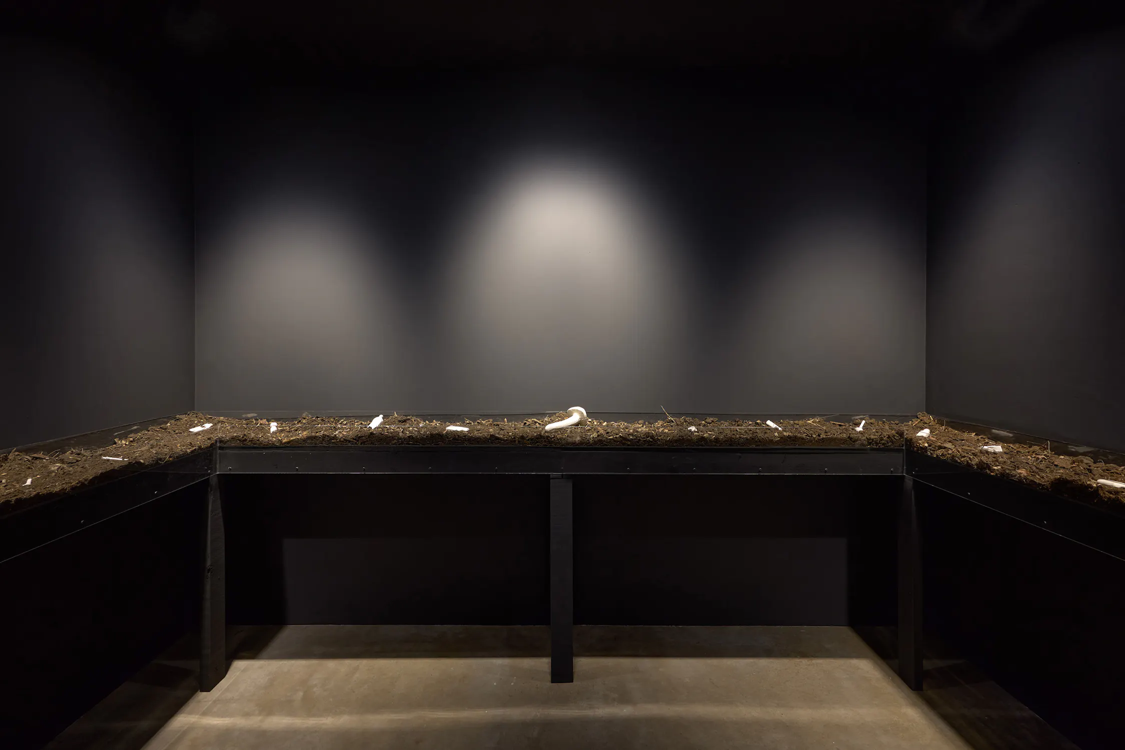 A dark, minimalist room with black walls and a black table covered in soil. Scattered across the soil are several white jesmonite casts. Three overhead spotlights cast circular light on the display, emphasising the objects and soil.