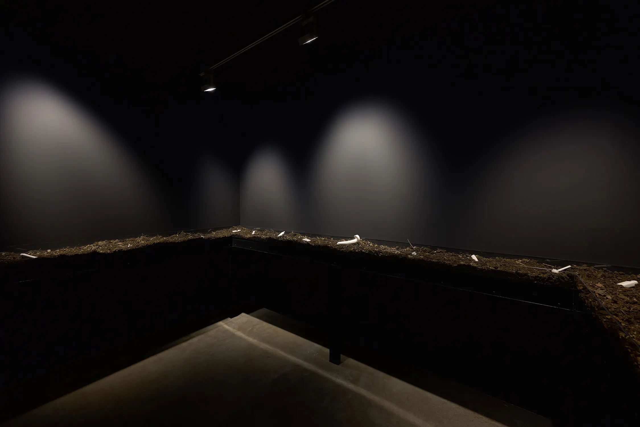 A dimly lit room with dark walls features a raised, L-shaped bed of soil. Small white jesmonite casts are scattered along the soil. Overhead spotlights cast circular pools of light onto the wall, creating dramatic shadows.