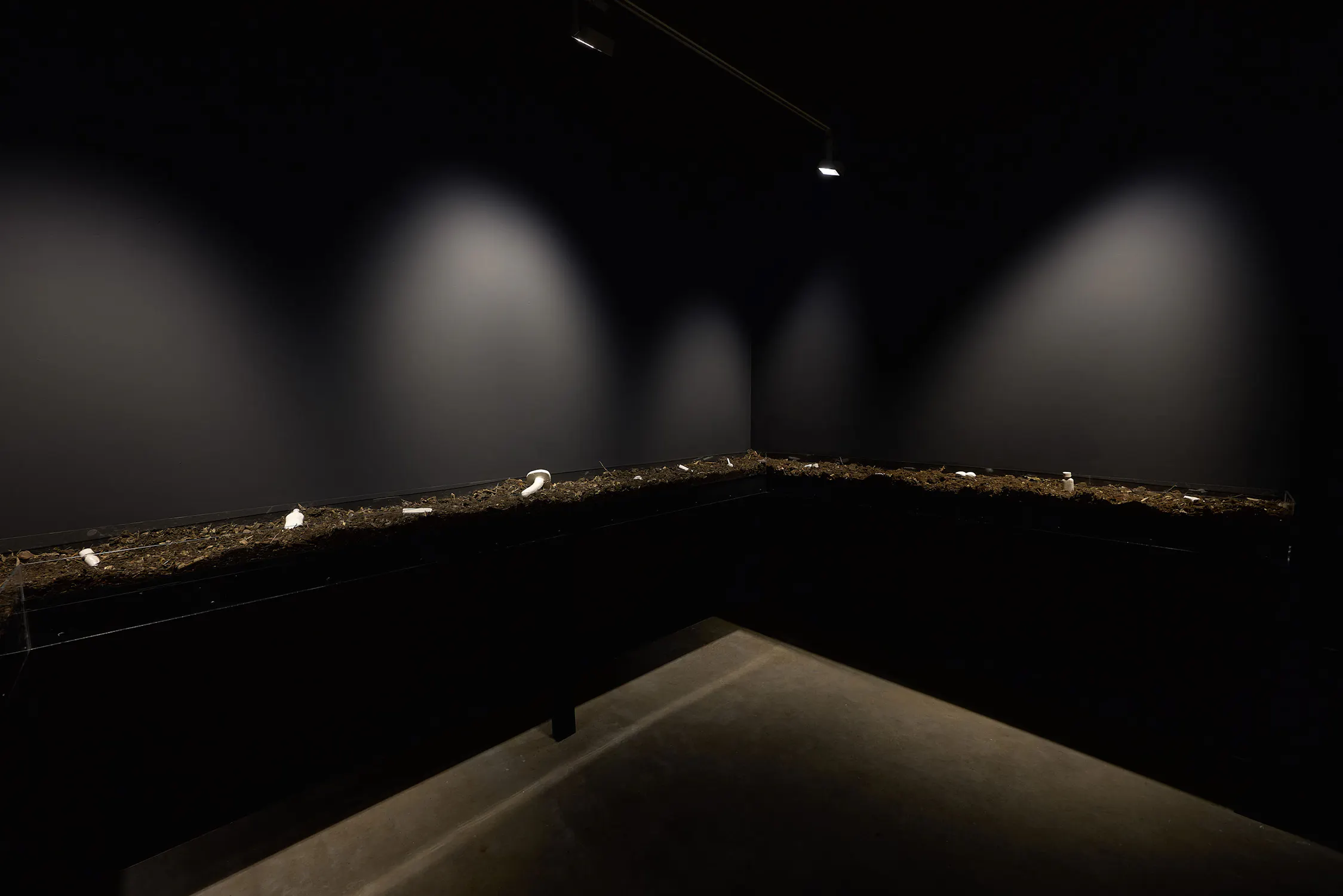 A dimly lit room with dark walls features a raised, L-shaped bed of soil. Small white jesmonite casts are scattered along the soil. Overhead spotlights cast circular pools of light onto the wall, creating dramatic shadows.
