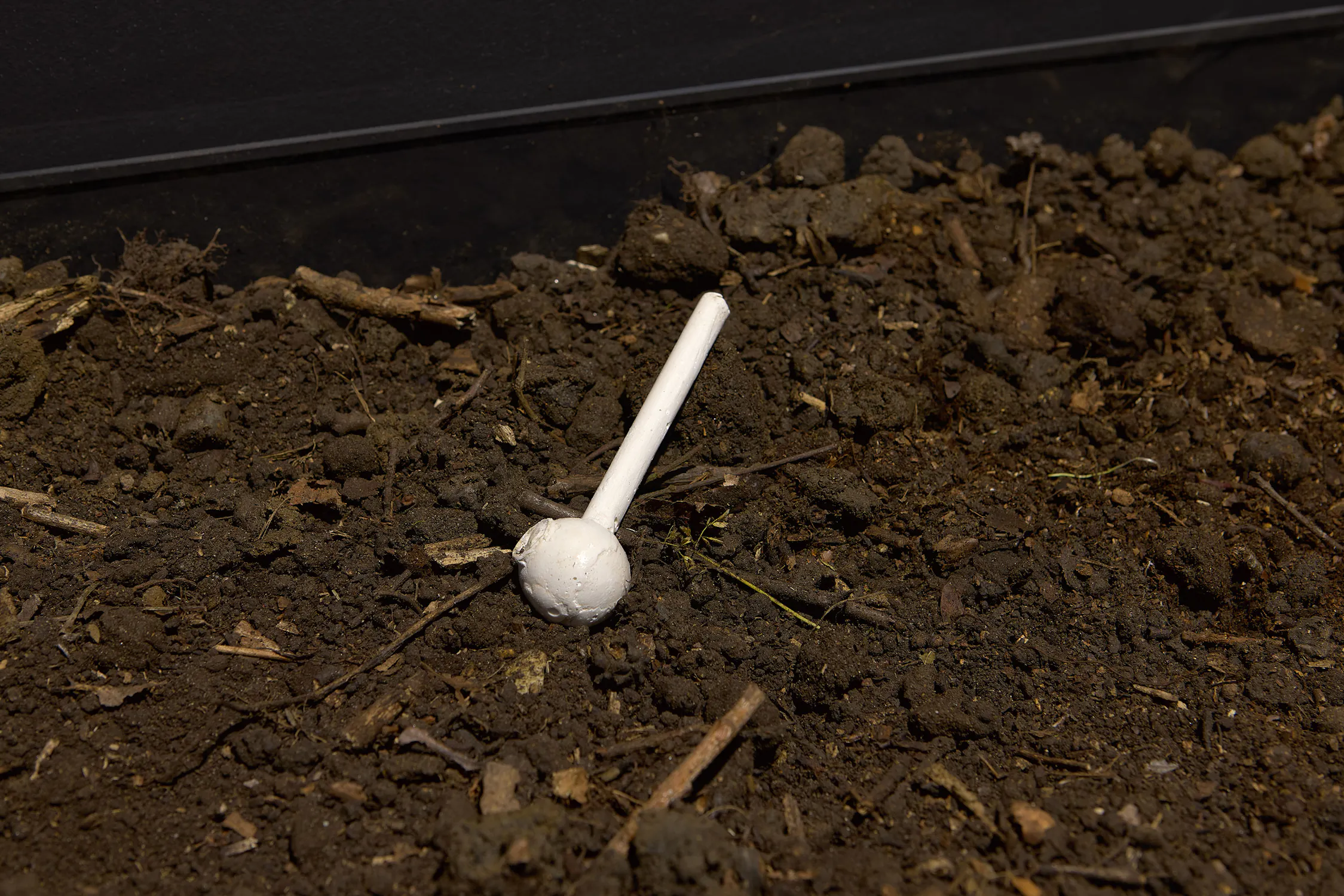A cast white crack pipe lies discarded on dark, uneven soil with small twigs and debris scattered about. The background is out of focus, drawing attention to the lolly on the ground.
