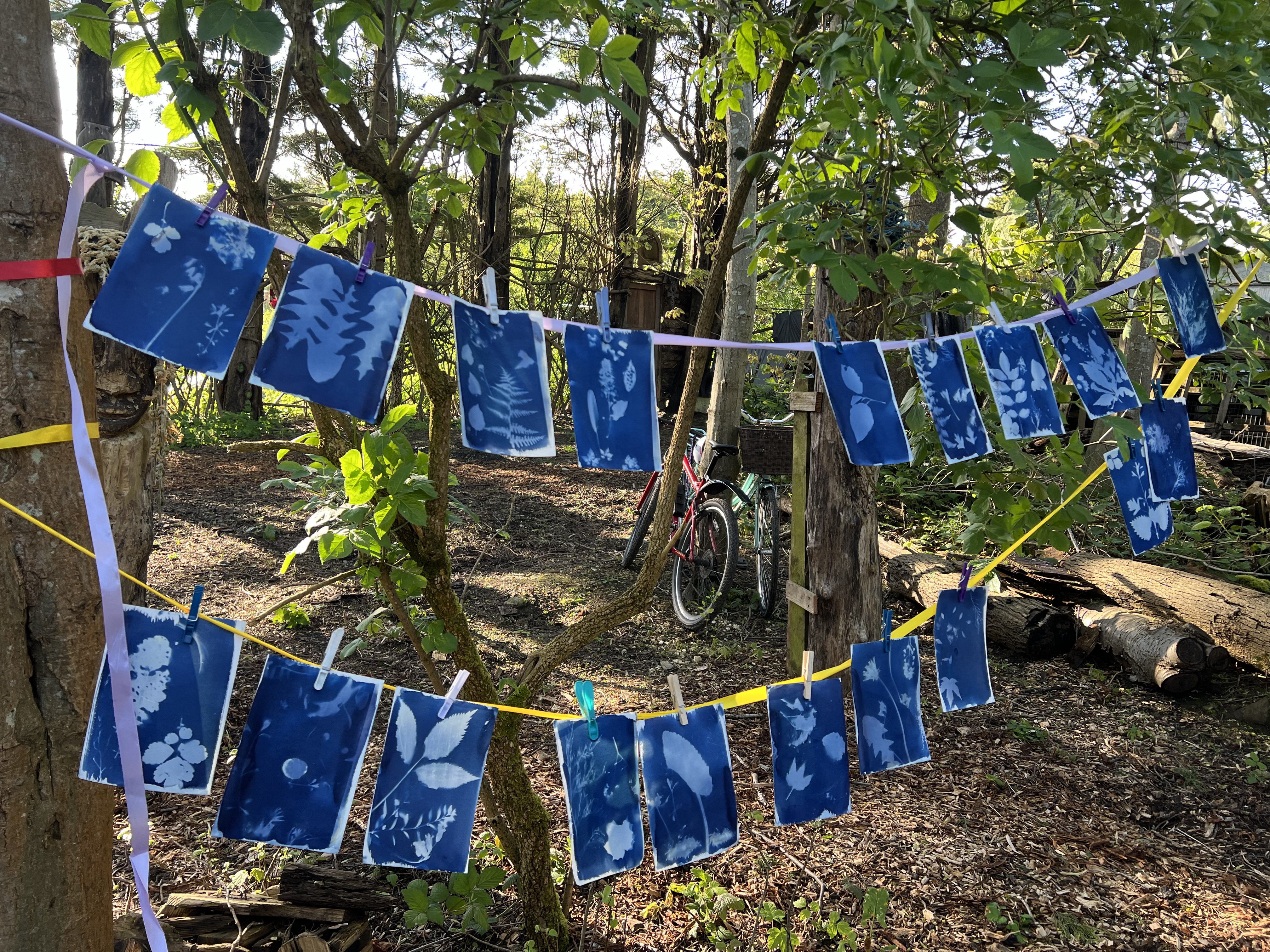 Two lines of blue-and-white cyanotype prints with botanical patterns hang between trees in a sunlit, wooded outdoor area. A bicycle and treehouse are visible in the background.