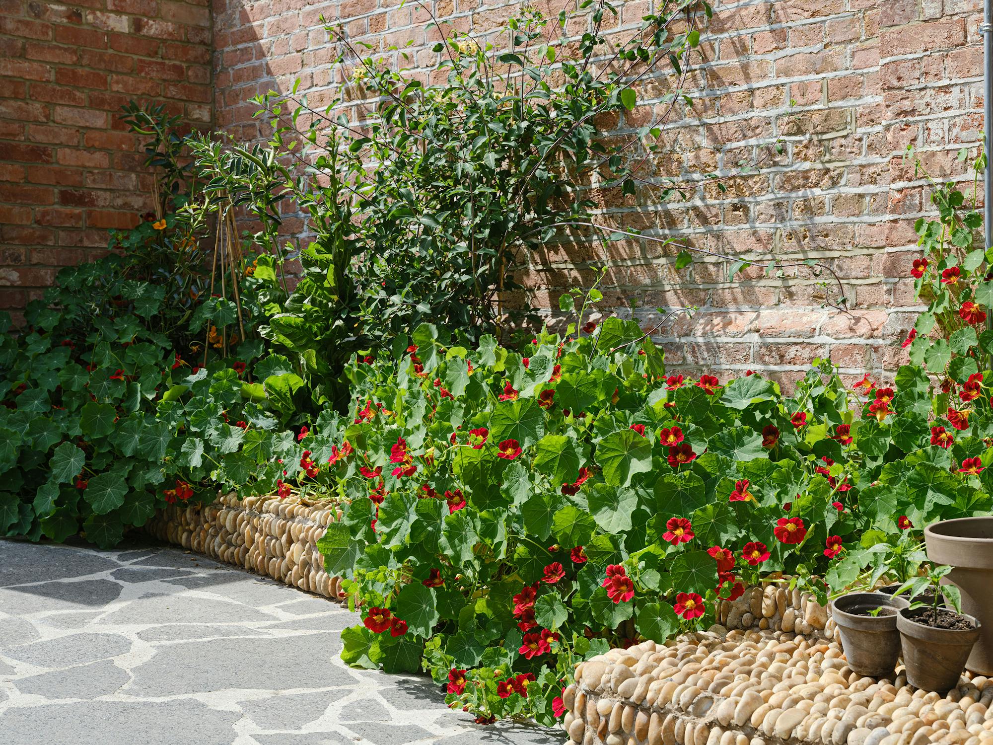 A small garden corner with vibrant red flowers, lush green foliage, and a brick wall backdrop. A pebble-bordered flower bed contains the plants, and empty clay pots are placed on a pebble bench on the right. The garden floor is paved with irregular stone tiles.
