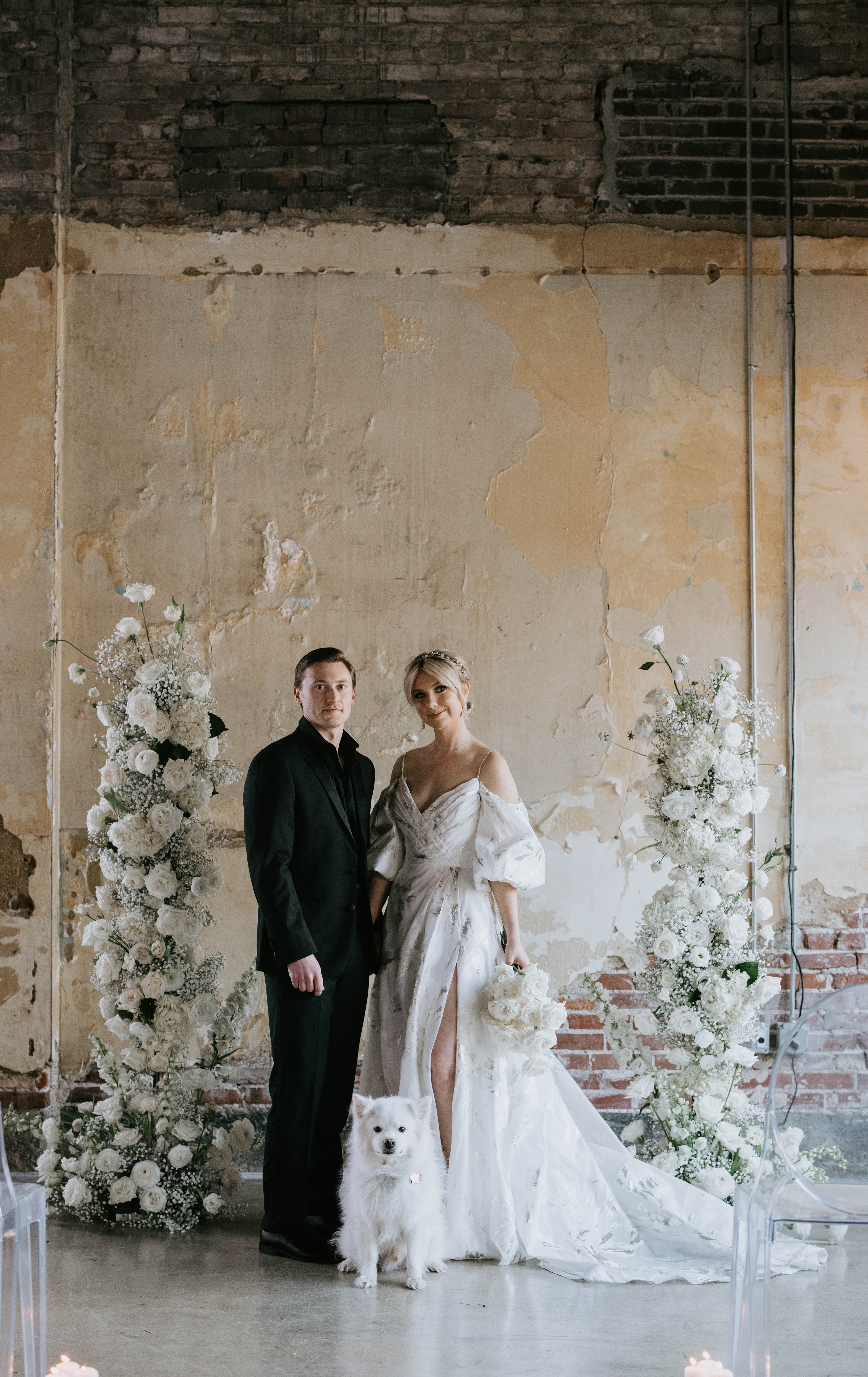 Dogs In Weddings: Make your dog a groomsman