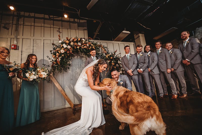dog wedding ceremony ideas