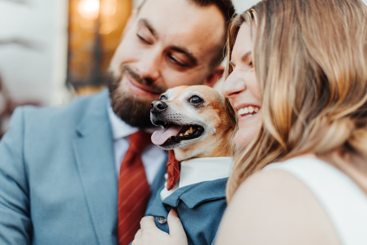 including your dog in your wedding