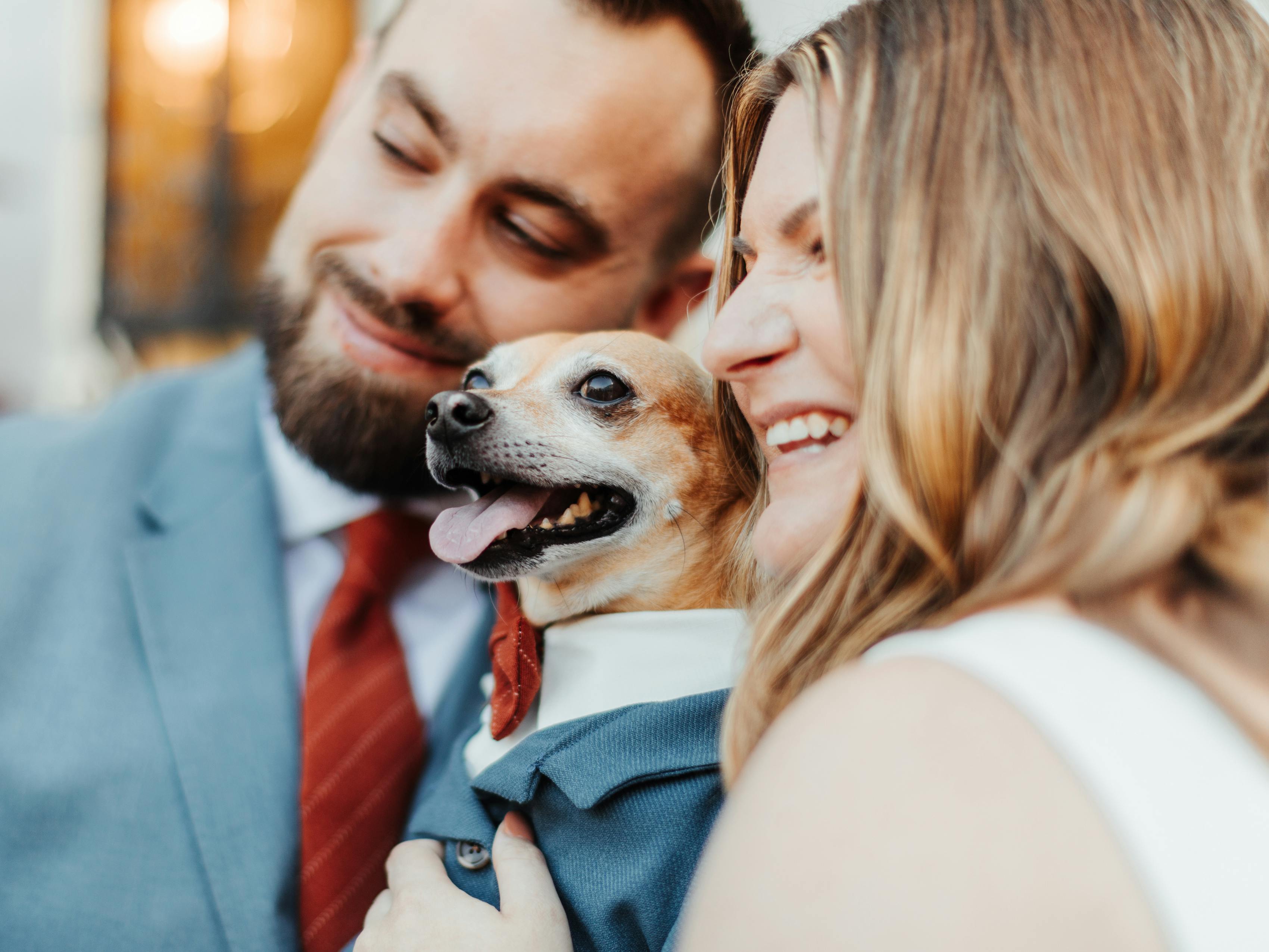 including your dog in your wedding