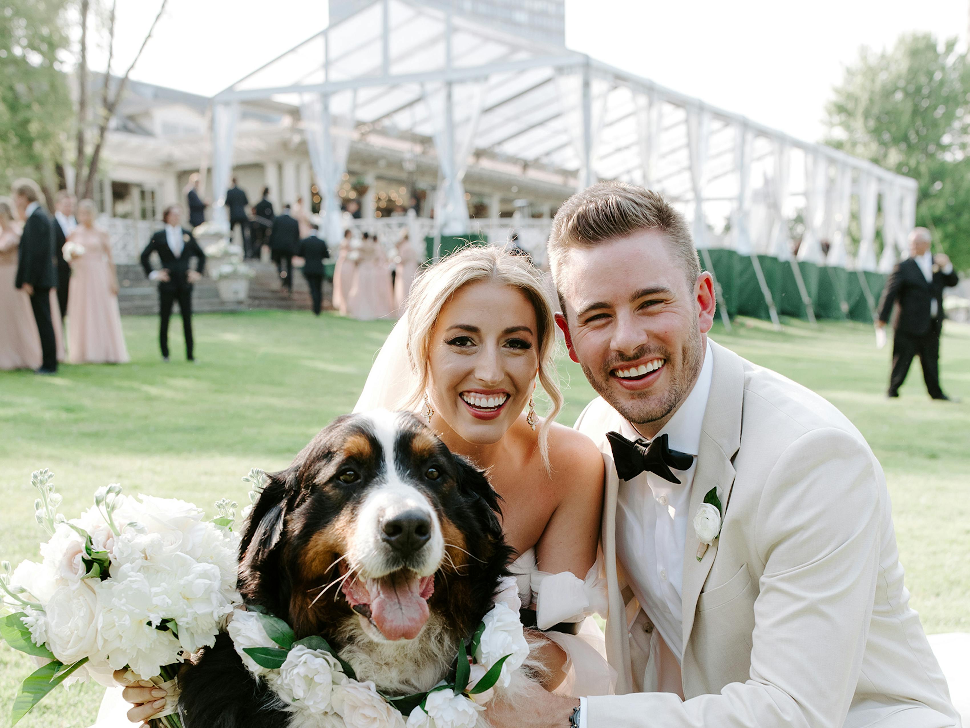 wedding dog
