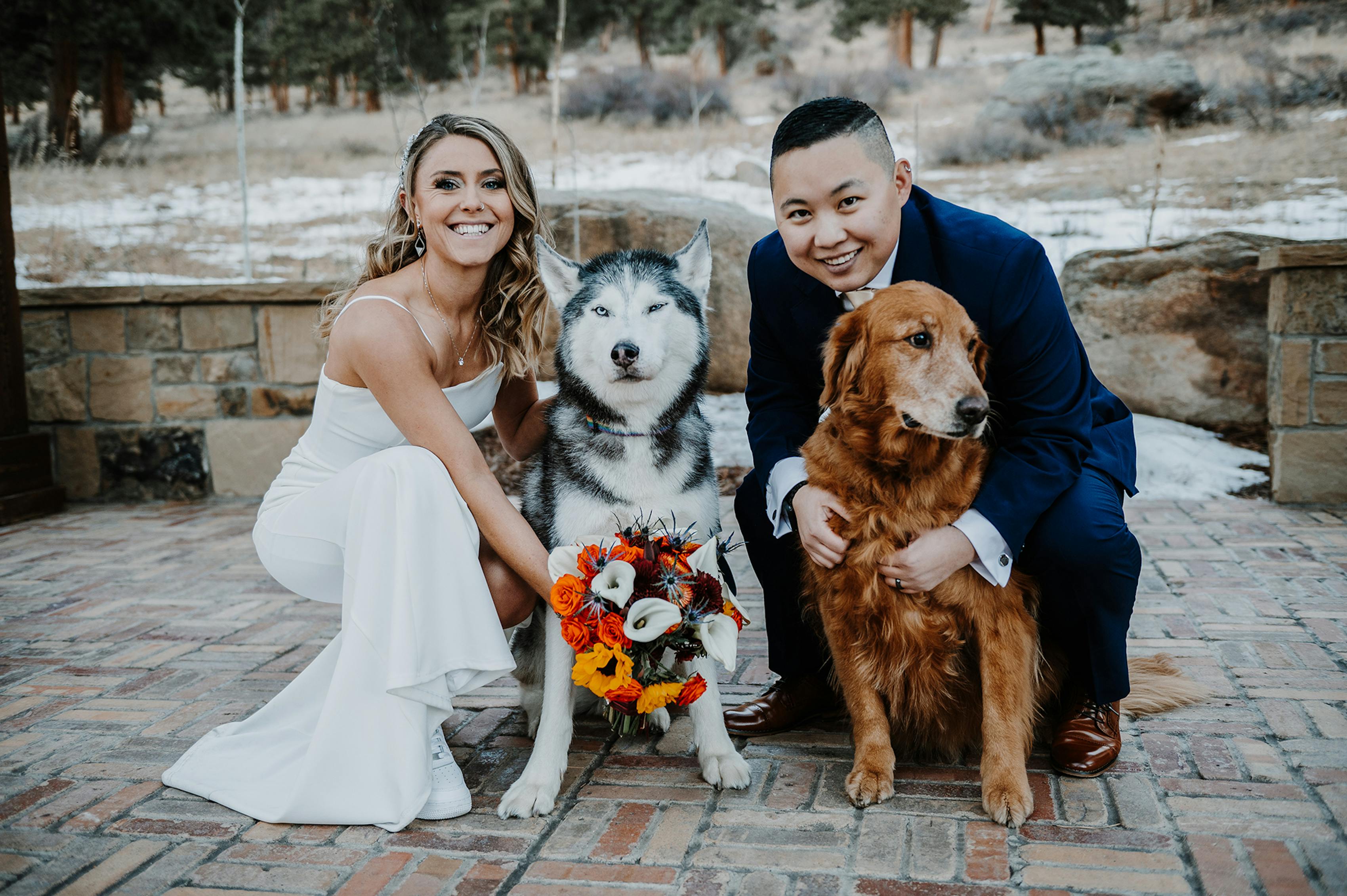 wedding dogs as flower girls 