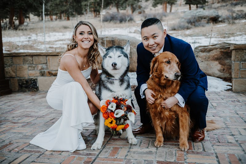 wedding dogs as flower girls 