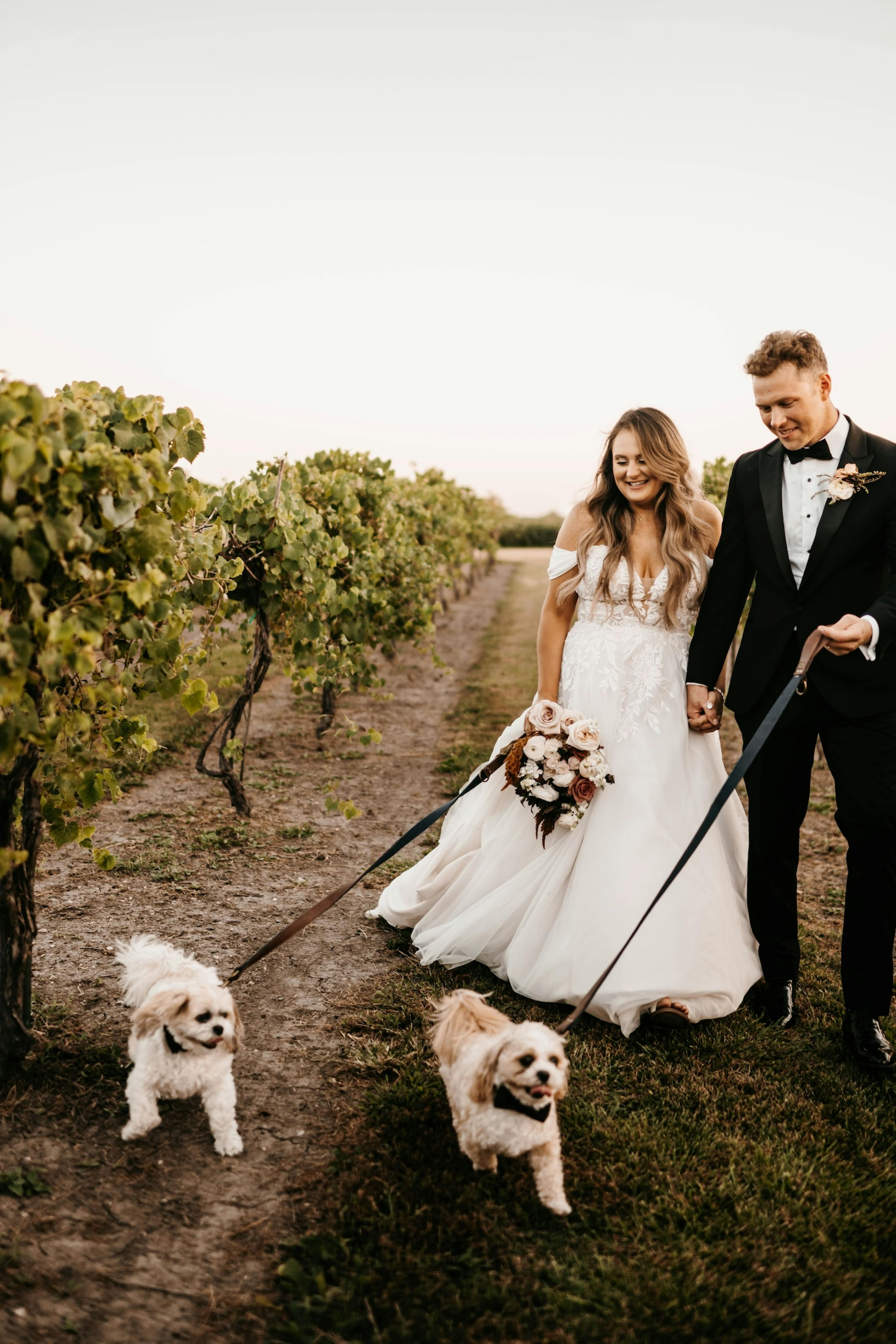 bride and groom pose with their dogs at their vineyard wedding
